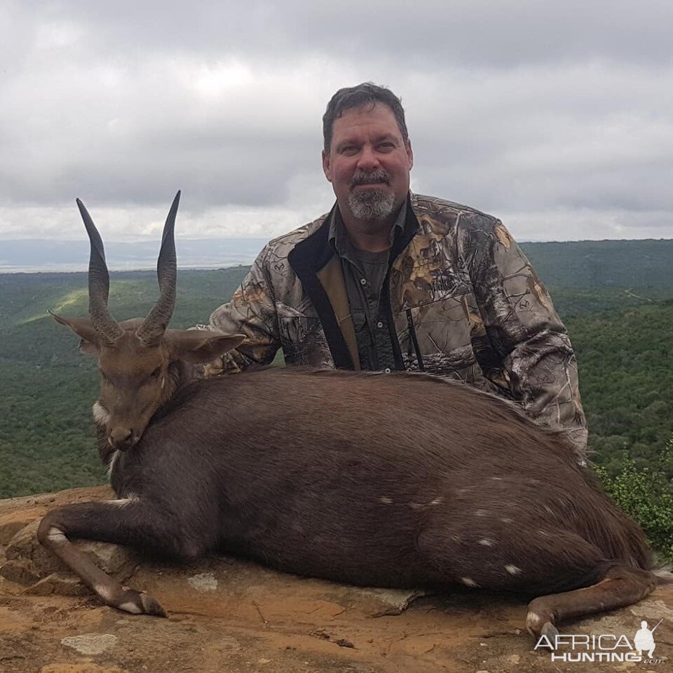 Hunt Bushbuck in South Africa