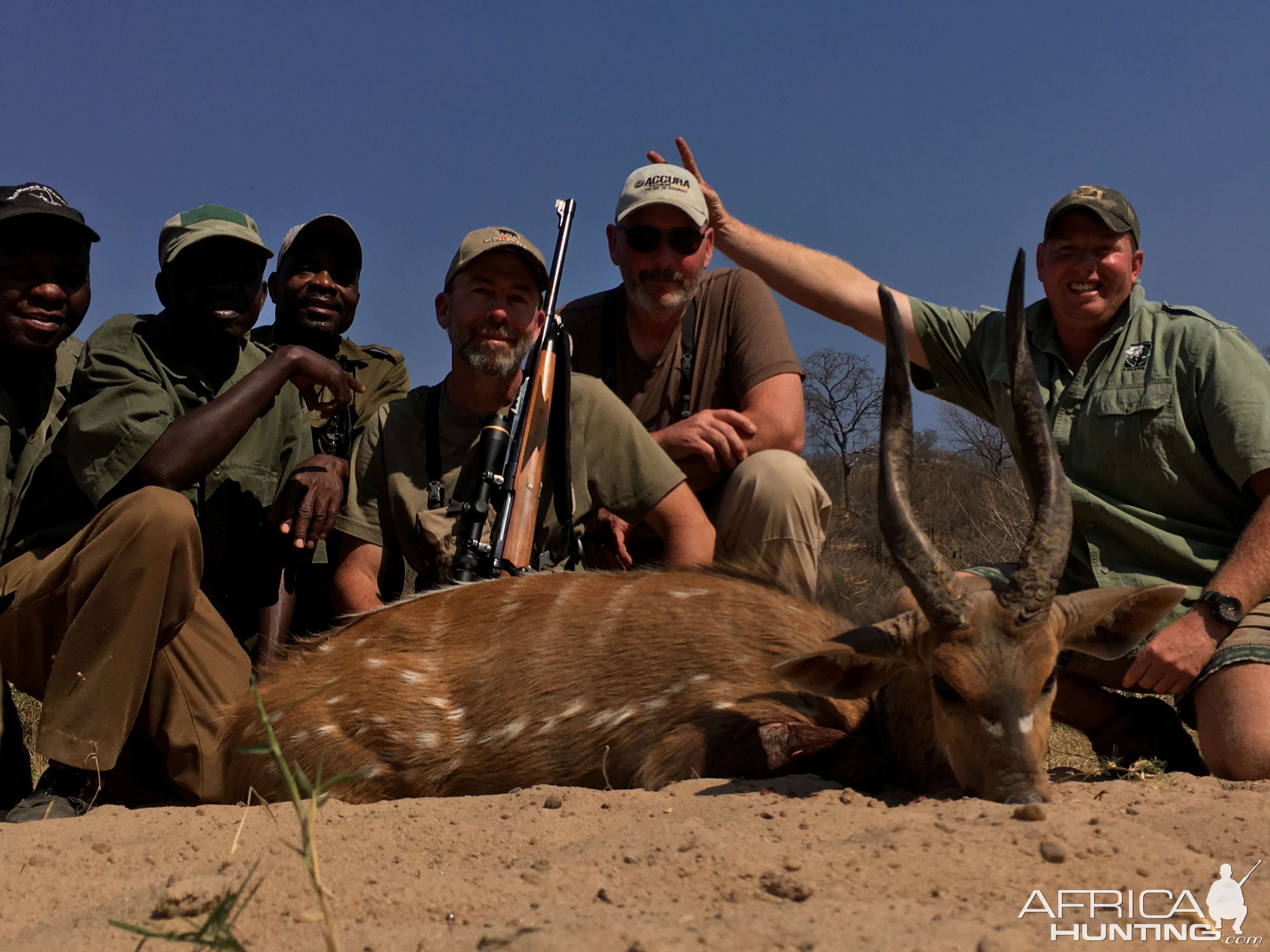 Hunt Bushbuck in Zimbabwe