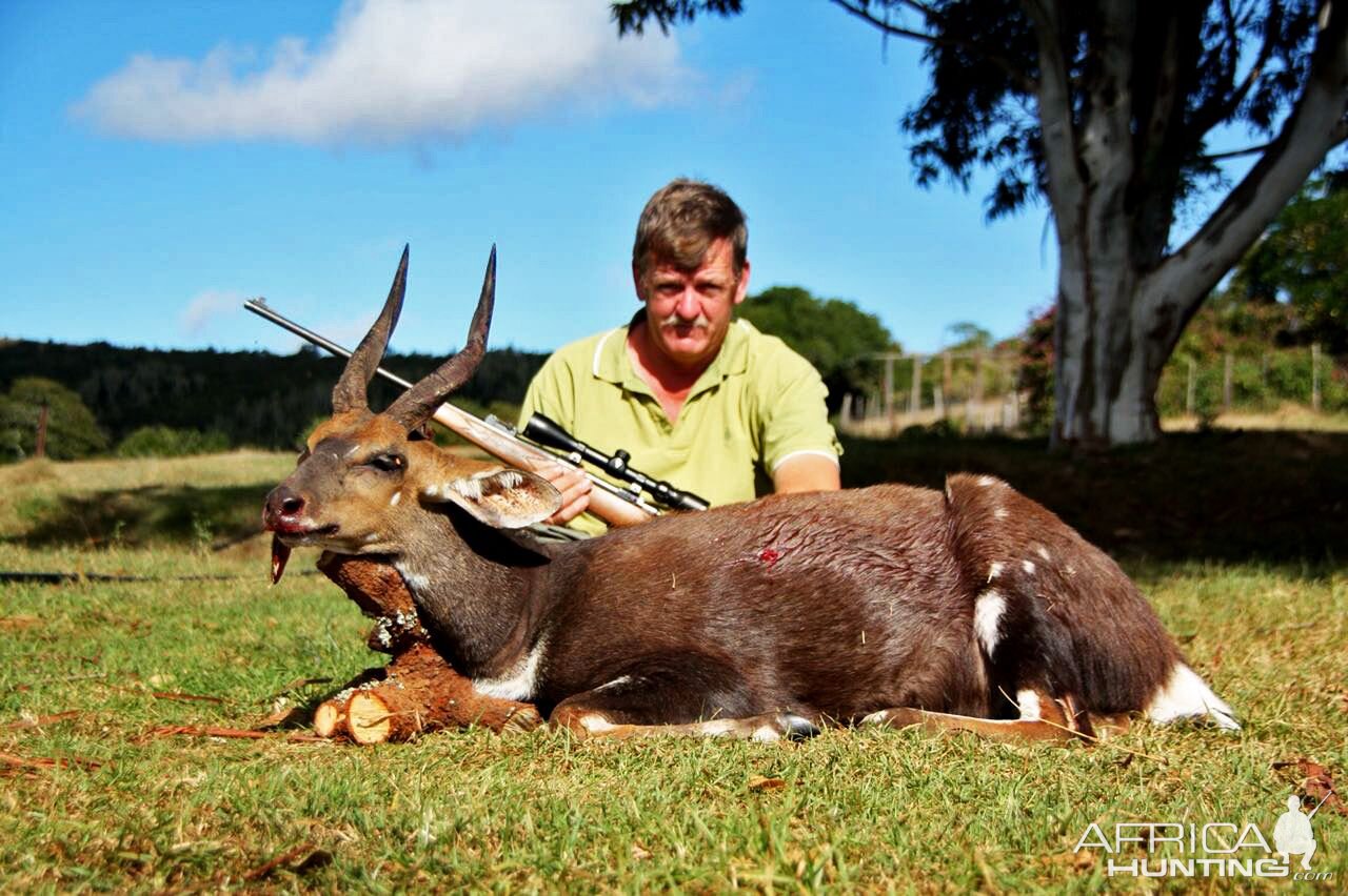 Hunt Bushbuck South Africa