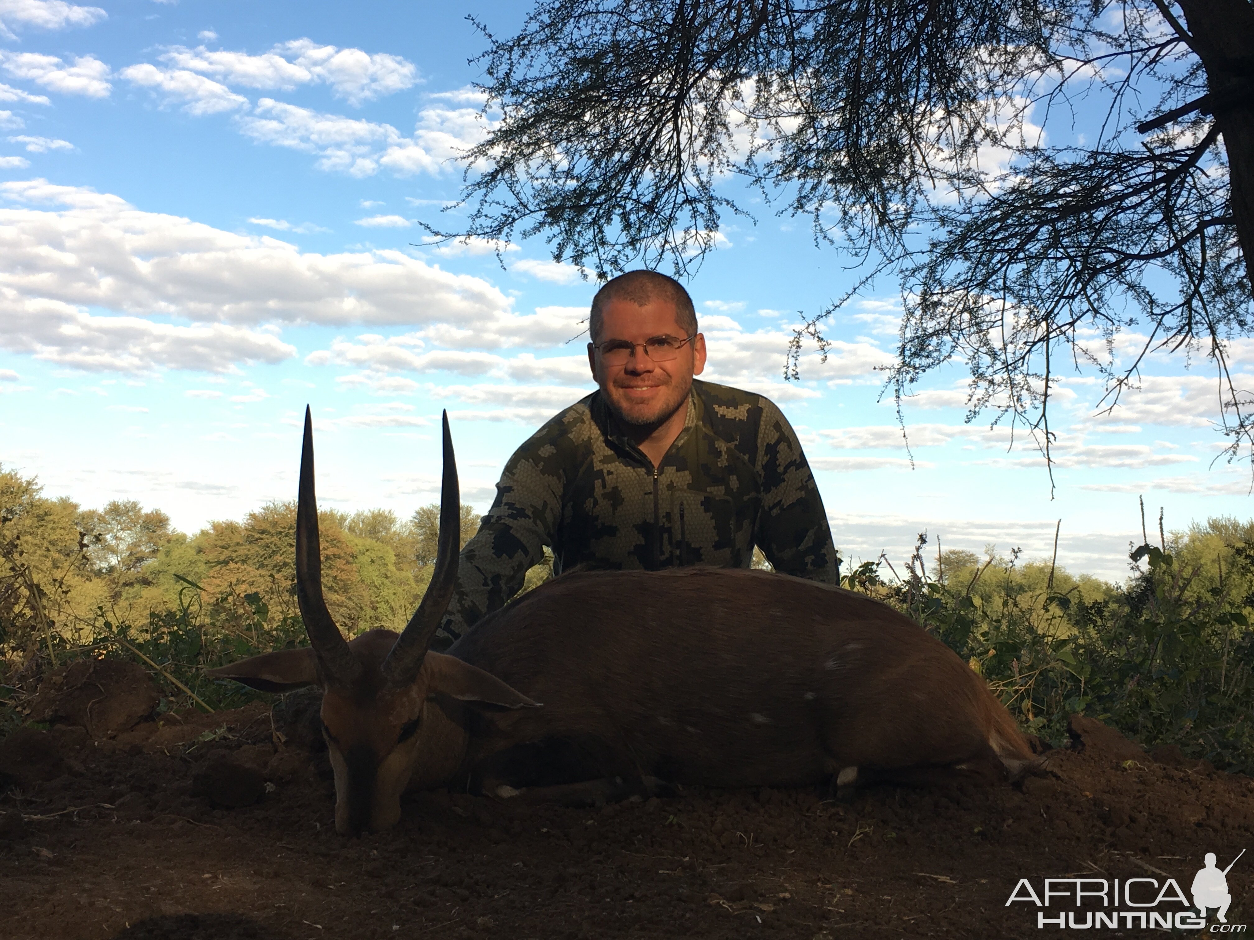 Hunt Bushbuck South Africa