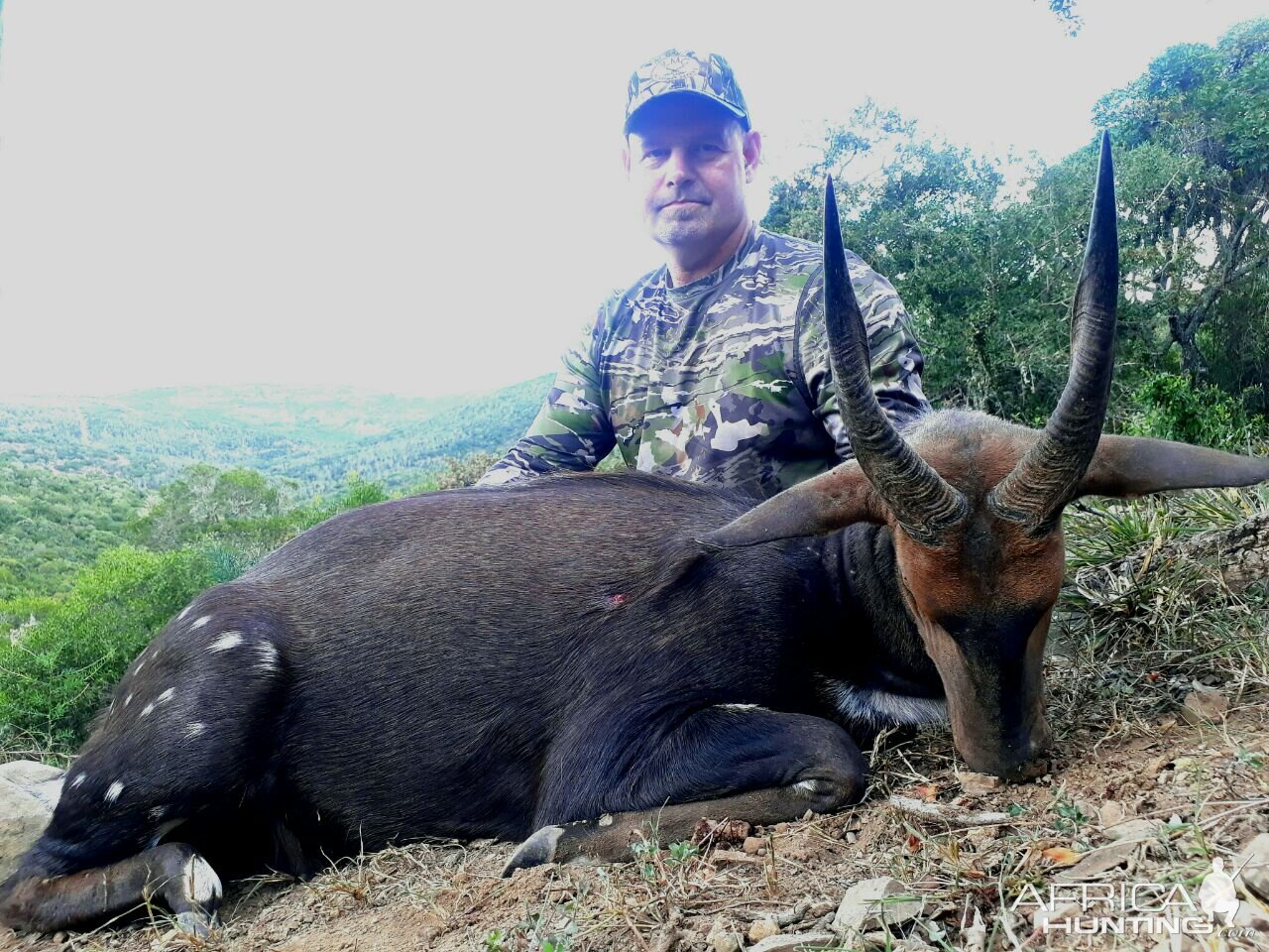 Hunt Bushbuck South Africa