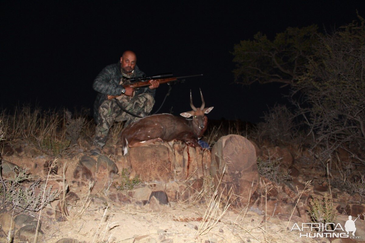 Hunt Bushbuck South Africa