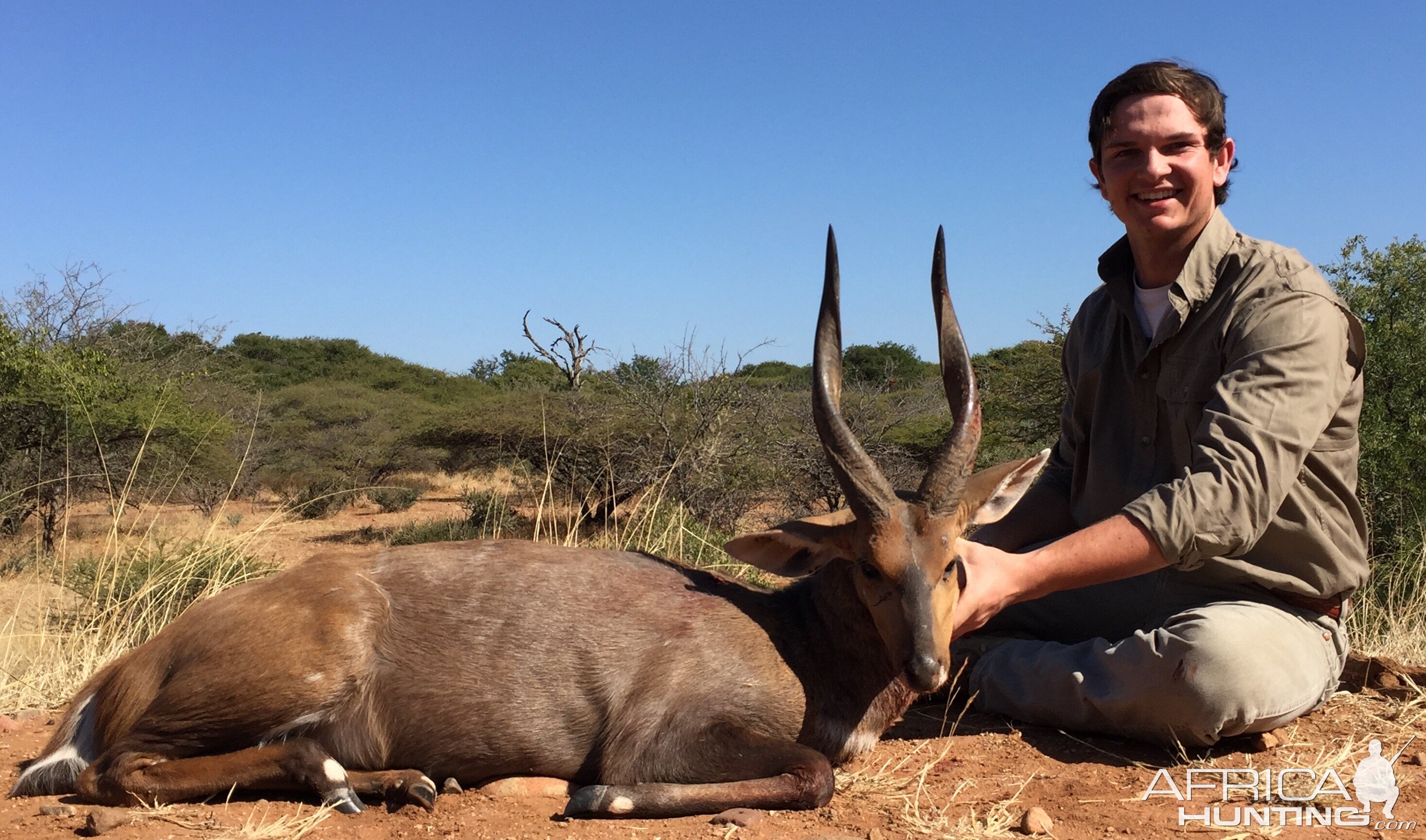 Hunt Bushbuck South Africa