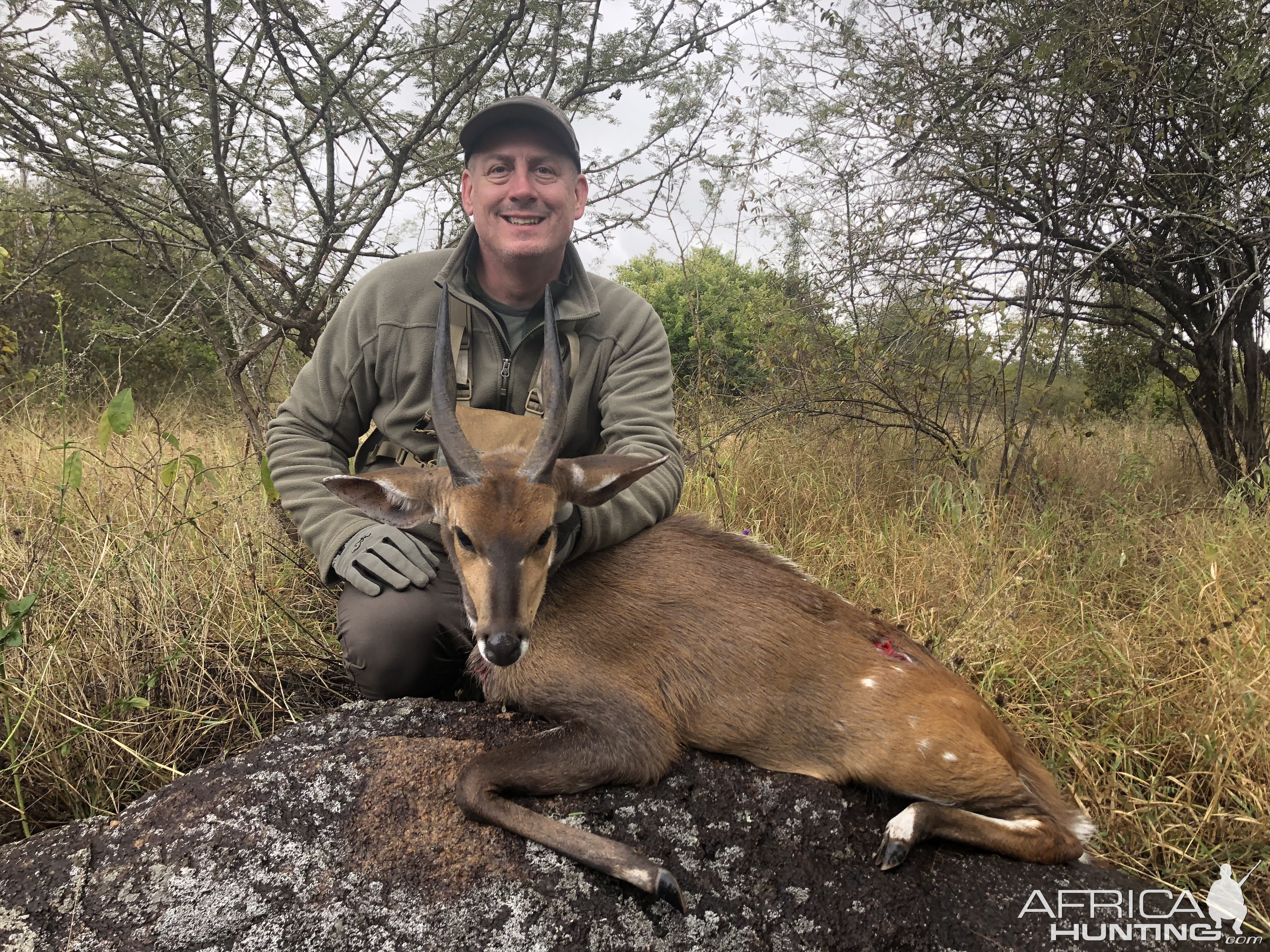 Hunt Bushbuck Zimbabwe