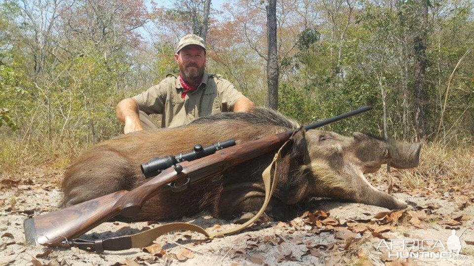 Hunt Bushpig in Mozambique