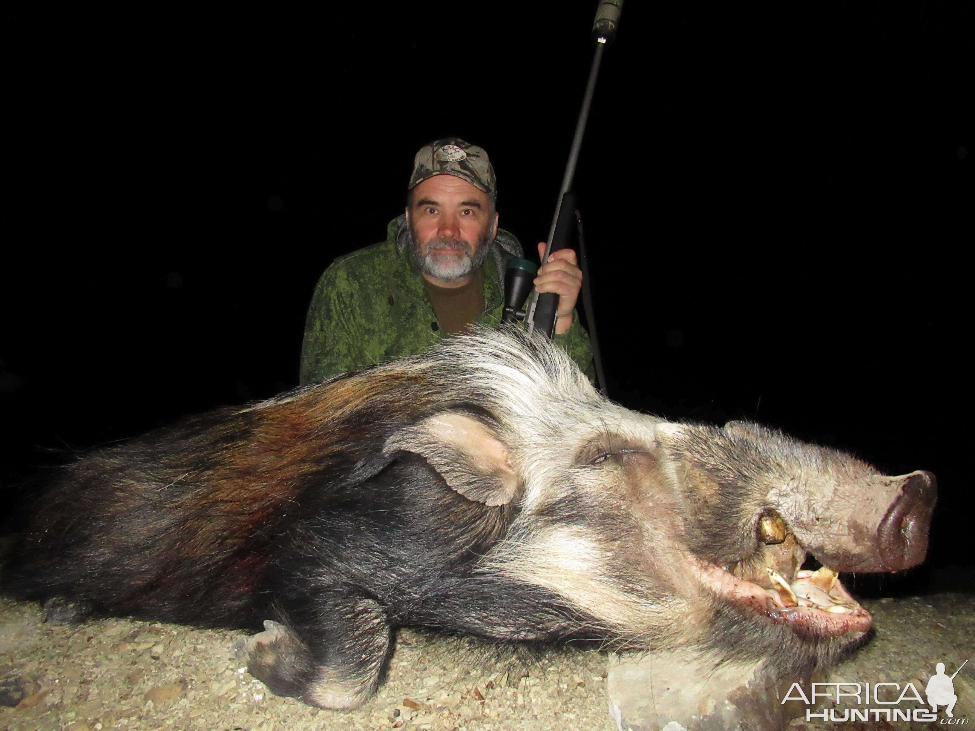 Hunt Bushpig in South Africa