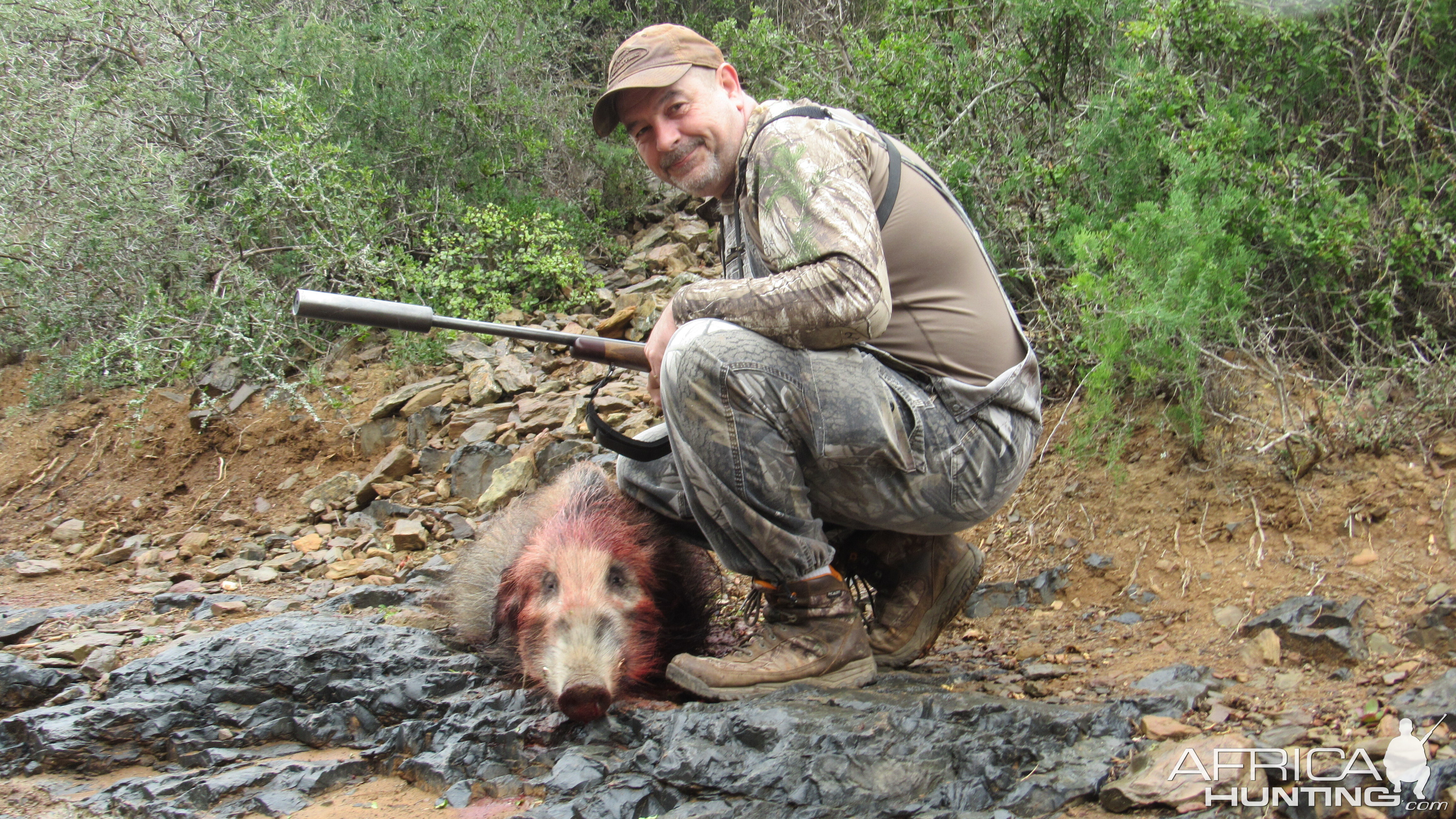 Hunt Bushpig in South Africa