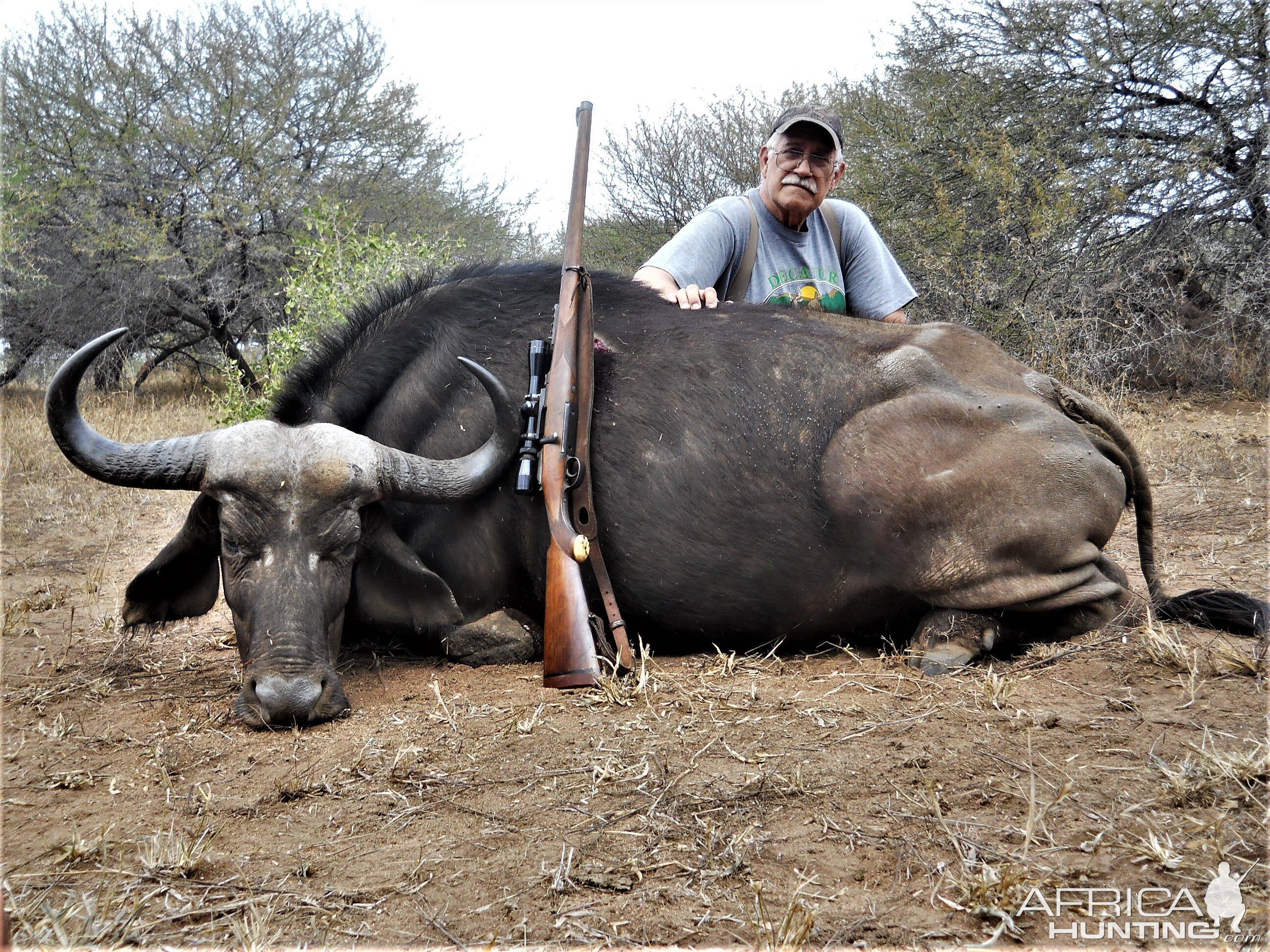 Hunt Cape Buffalo Cow