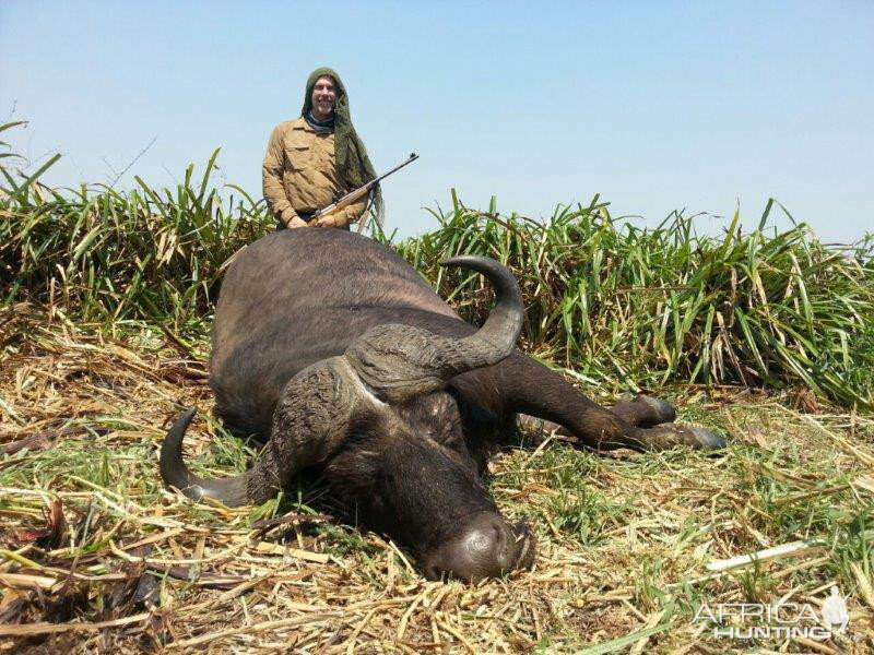 Hunt Cape Buffalo in Mozambique