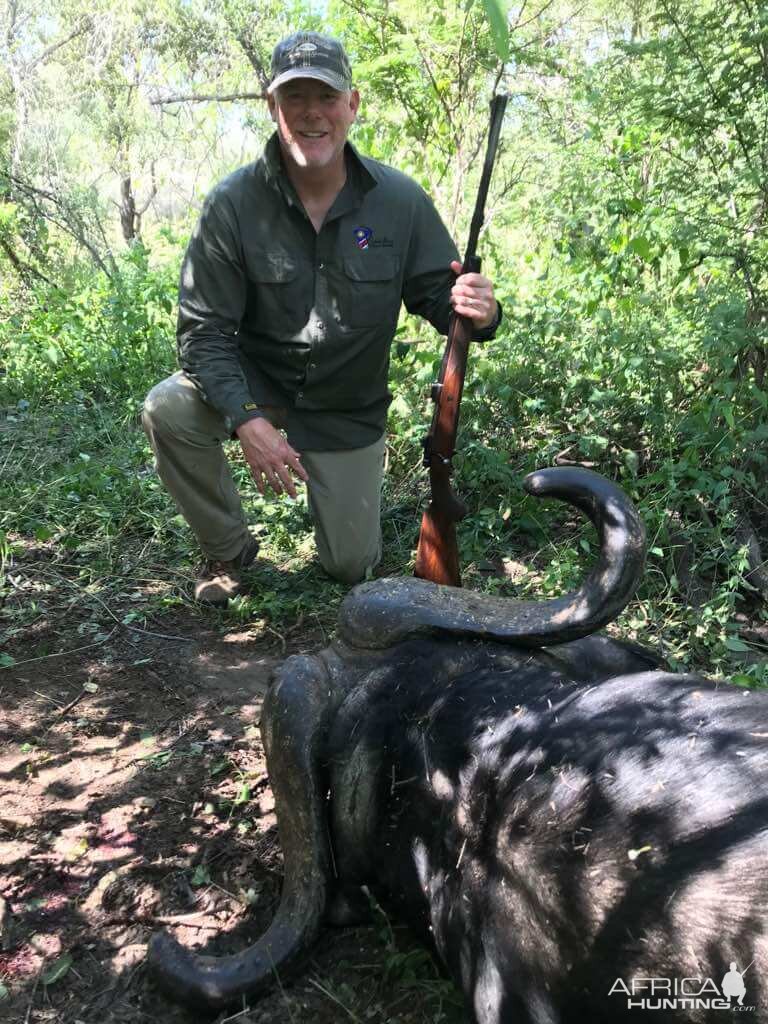 Hunt Cape Buffalo in Namibia