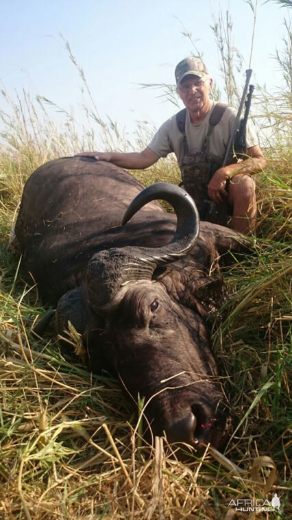 Hunt Cape Buffalo in Namibia