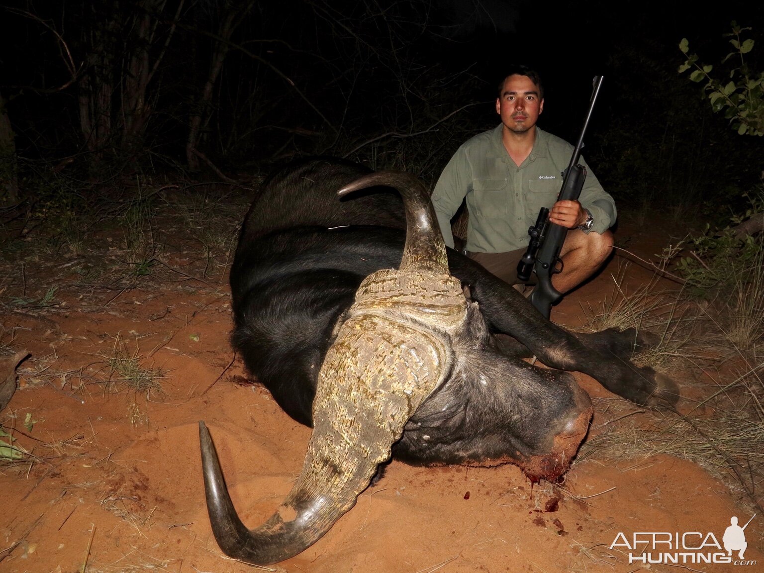 Hunt Cape Buffalo in Namibia