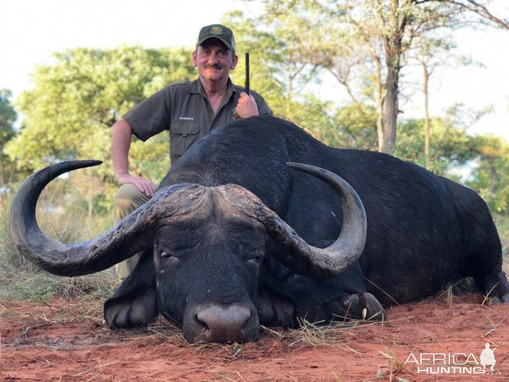 Hunt Cape Buffalo in Namibia