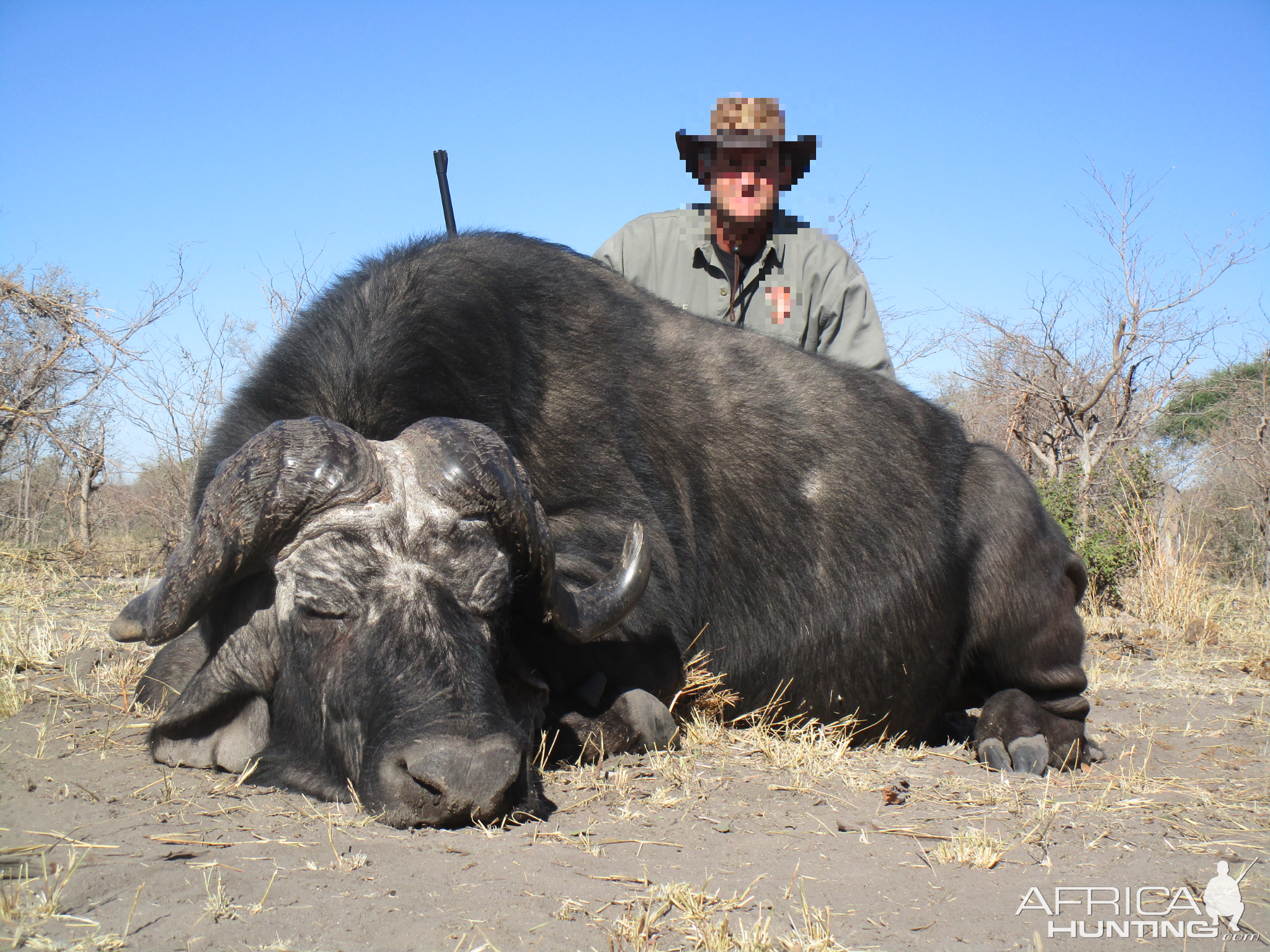 Hunt Cape Buffalo in Namibia