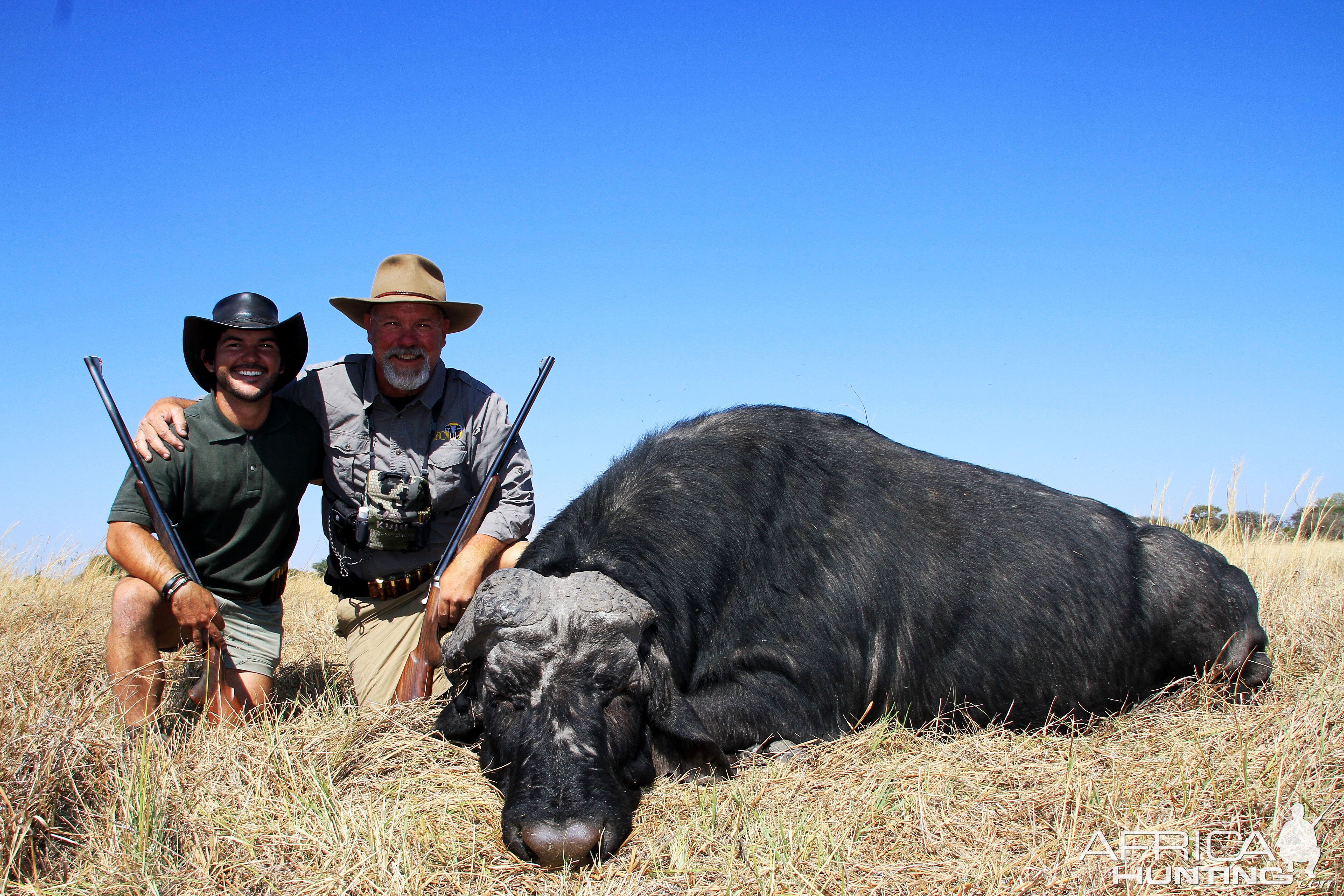 Hunt Cape Buffalo in Namibia