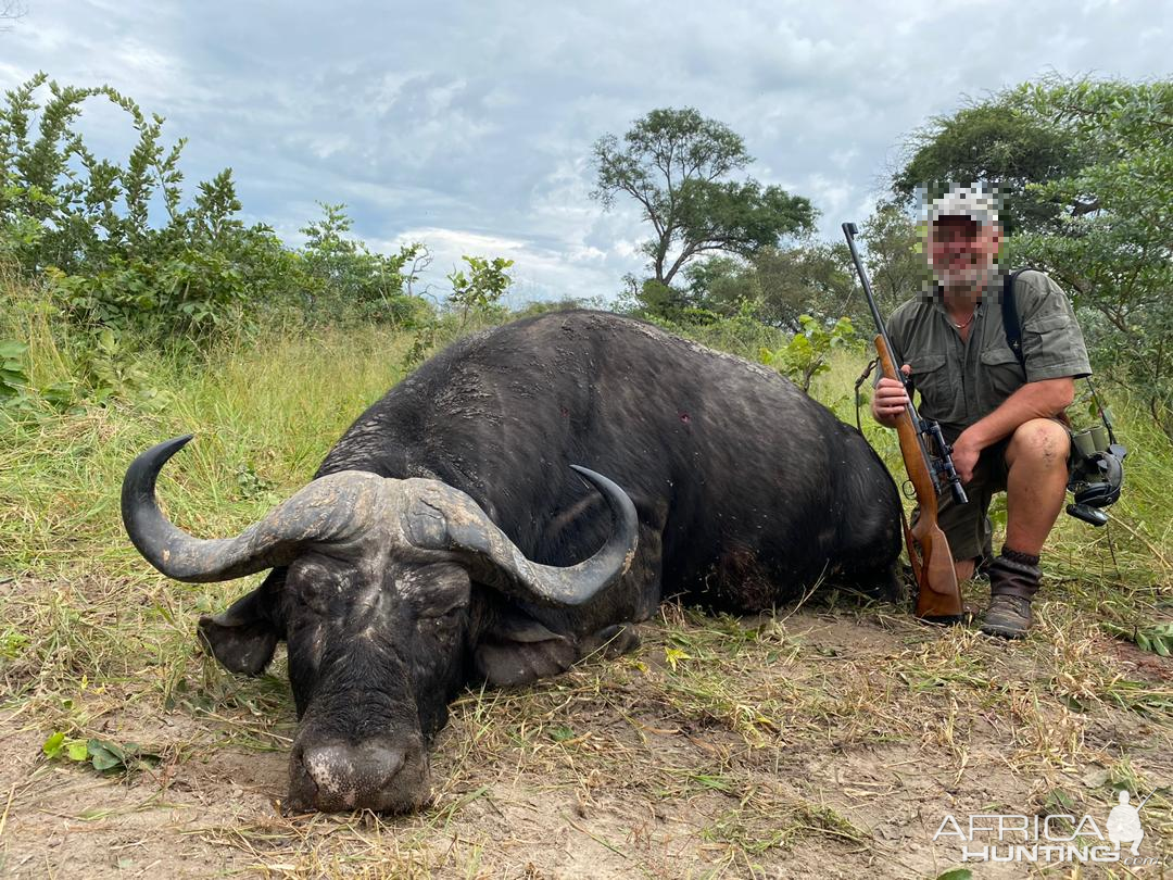 Hunt Cape Buffalo in Namibia