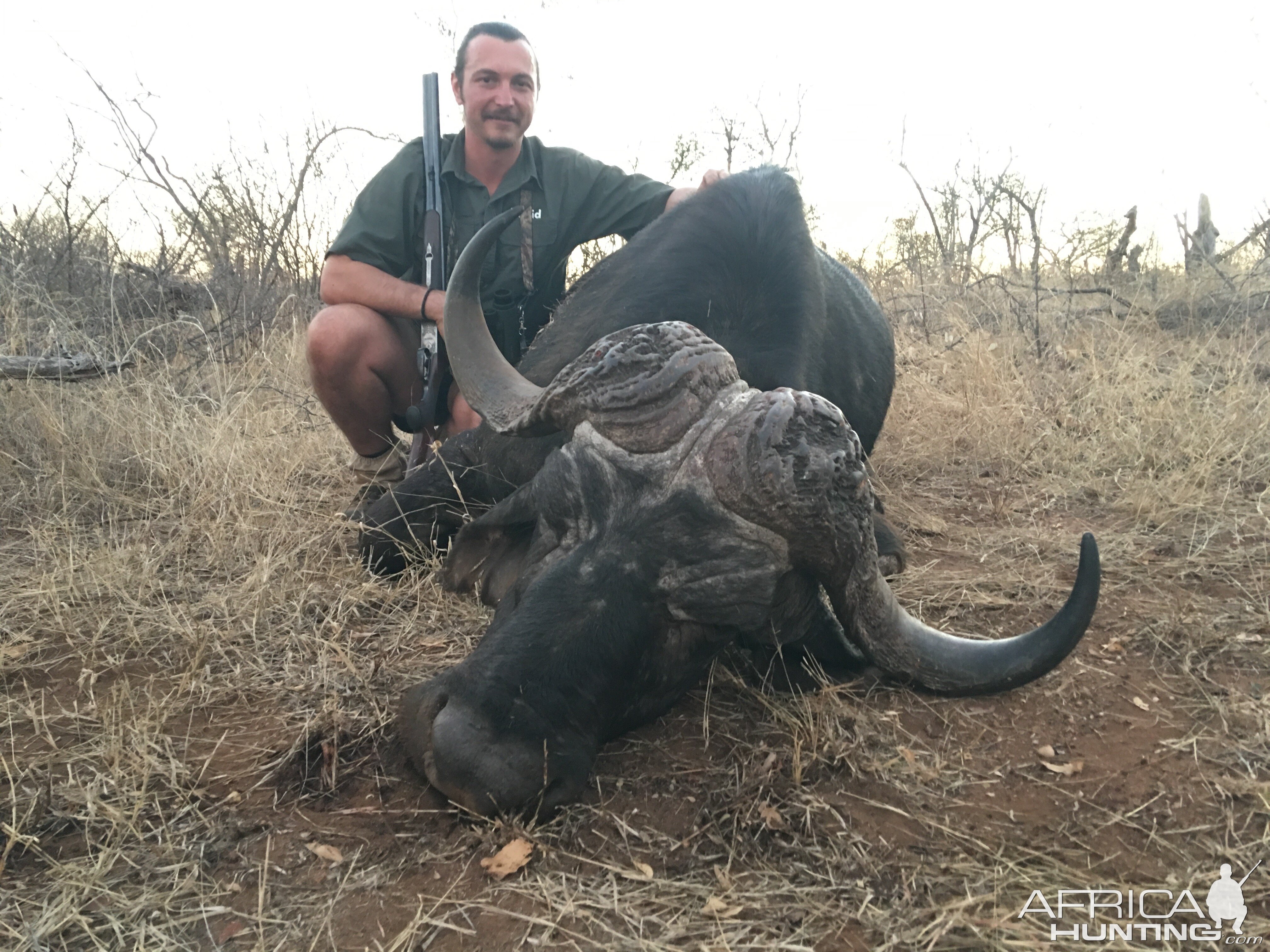 Hunt Cape Buffalo in South Africa