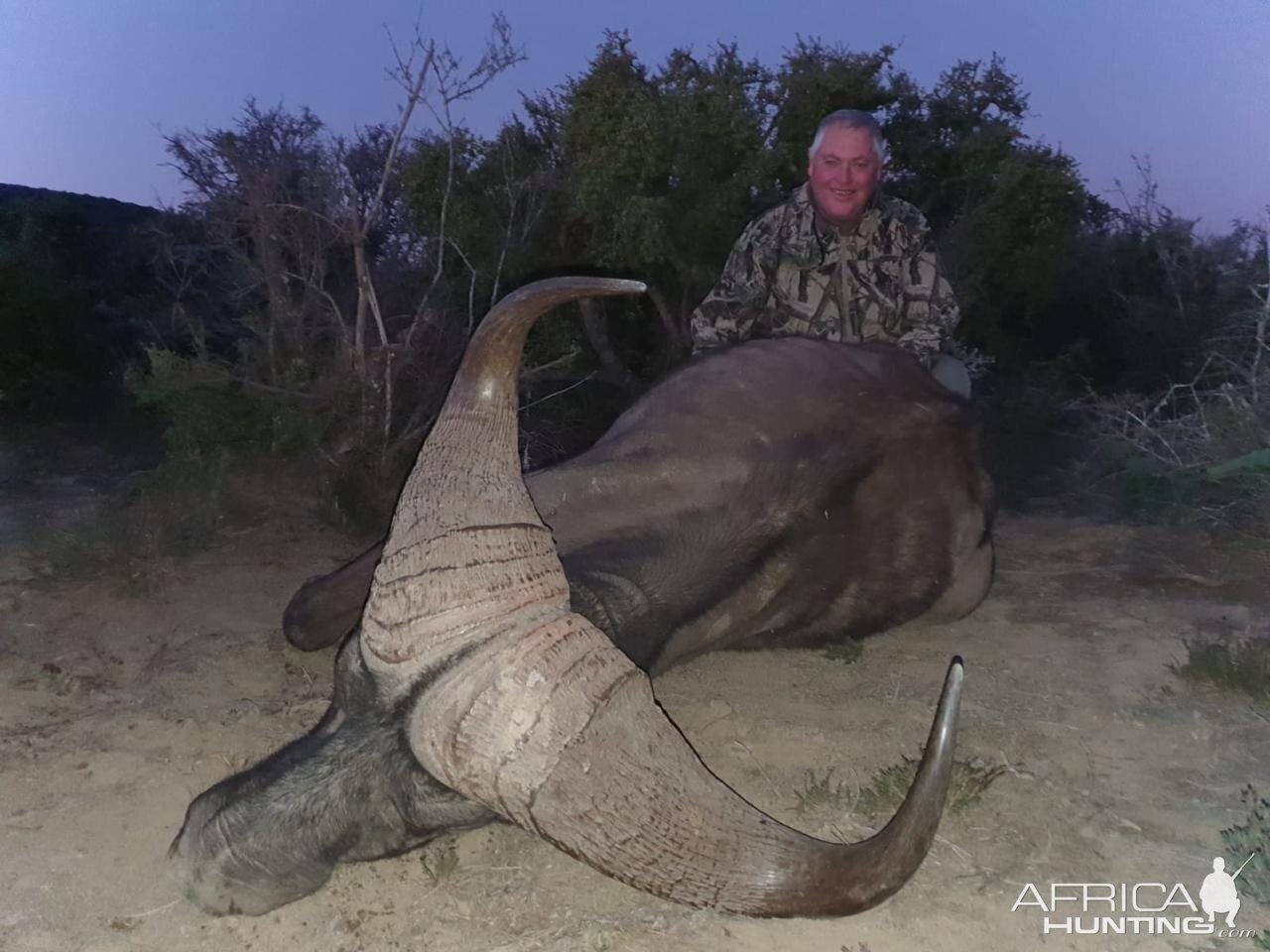 Hunt Cape Buffalo in South Africa