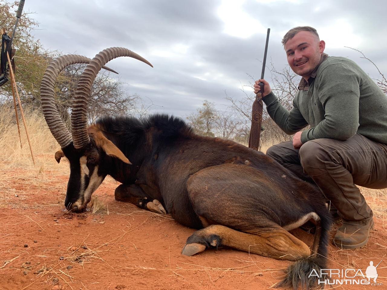 Hunt Cape Buffalo in South Africa