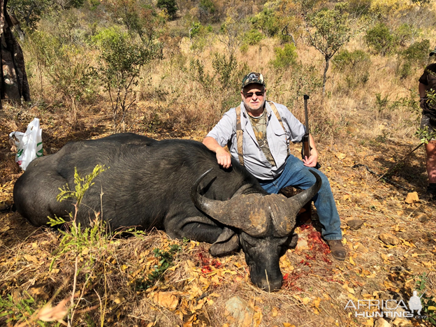 Hunt Cape Buffalo in South Africa