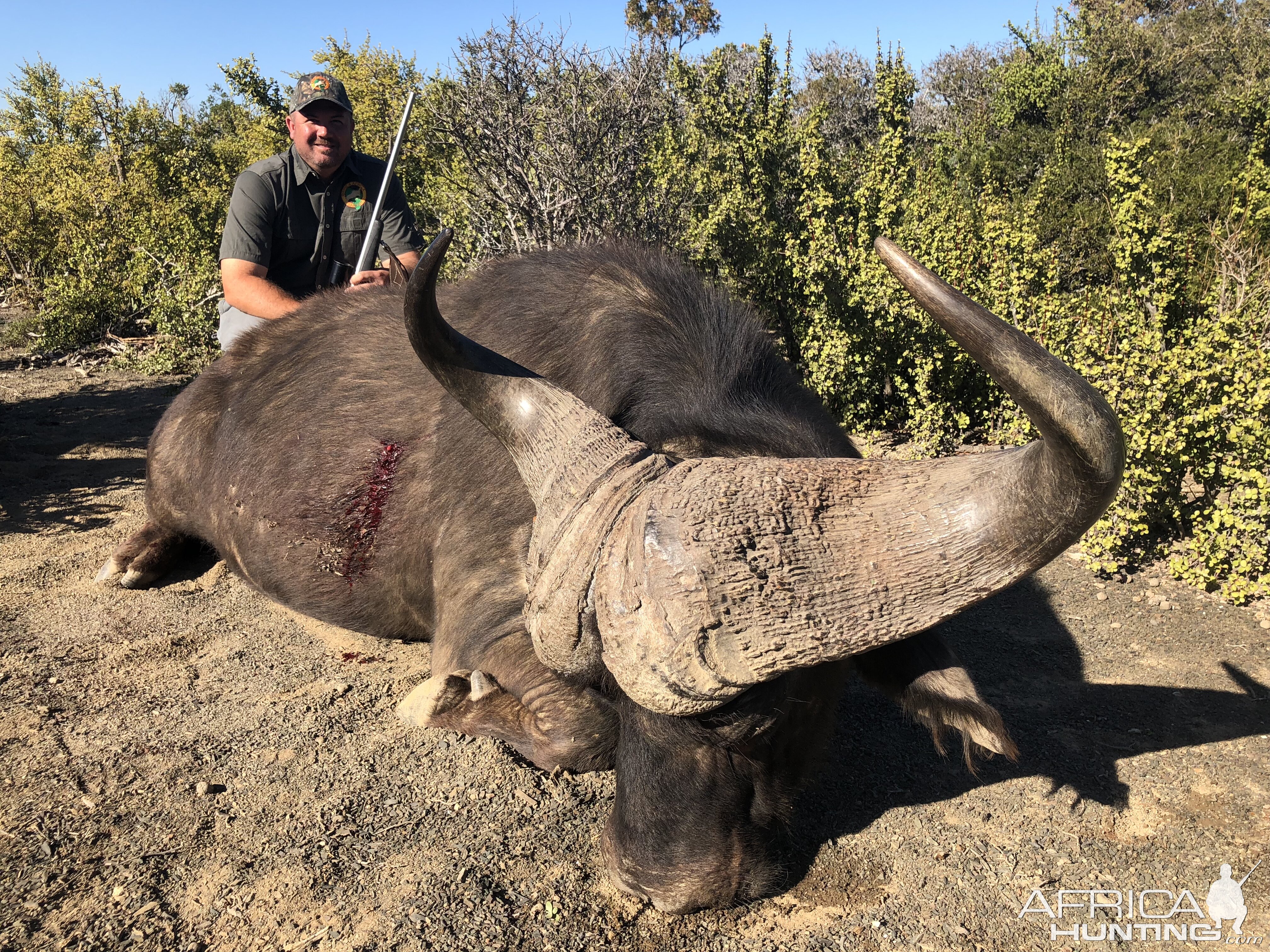 Hunt Cape Buffalo in South Africa