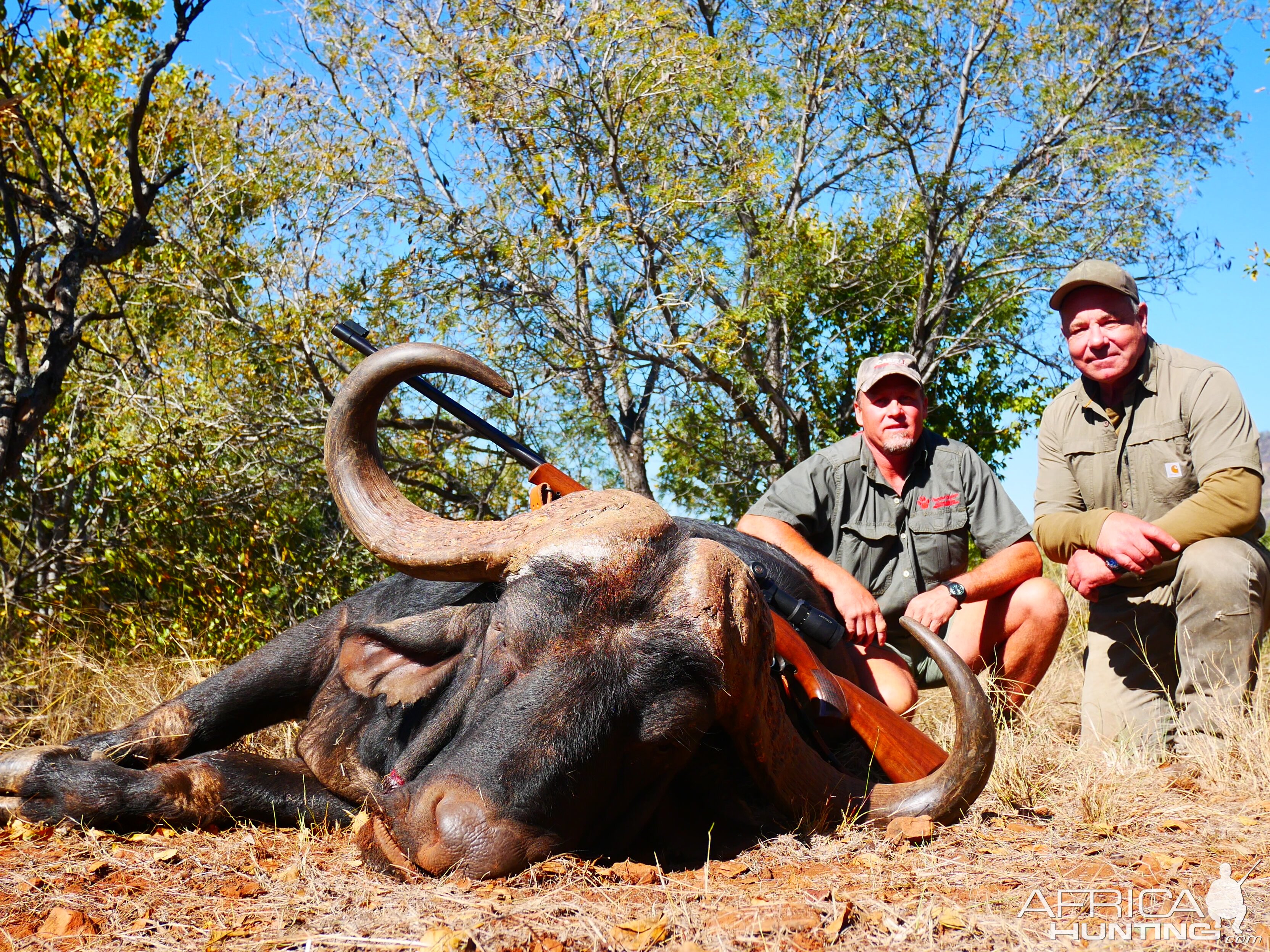 Hunt Cape Buffalo in South Africa