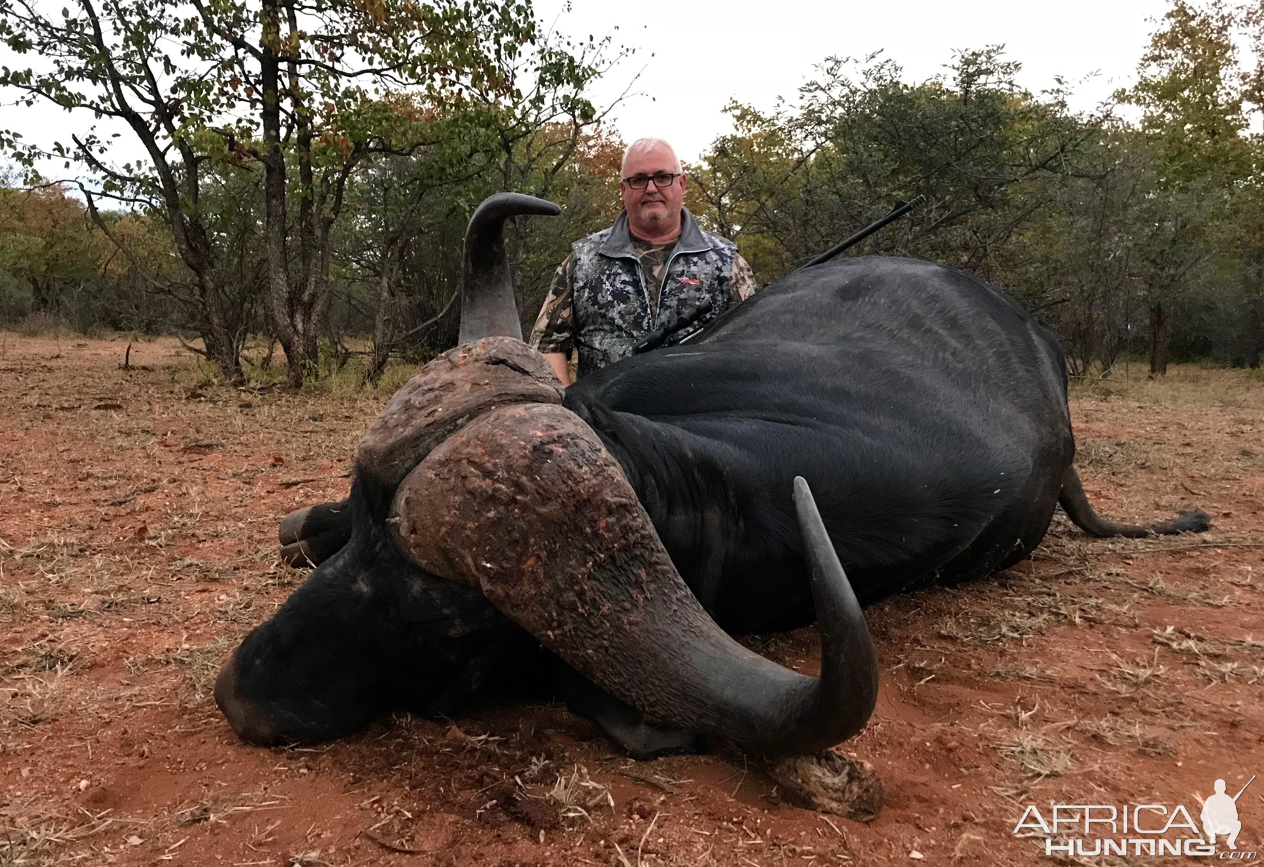 Hunt Cape Buffalo in South Africa