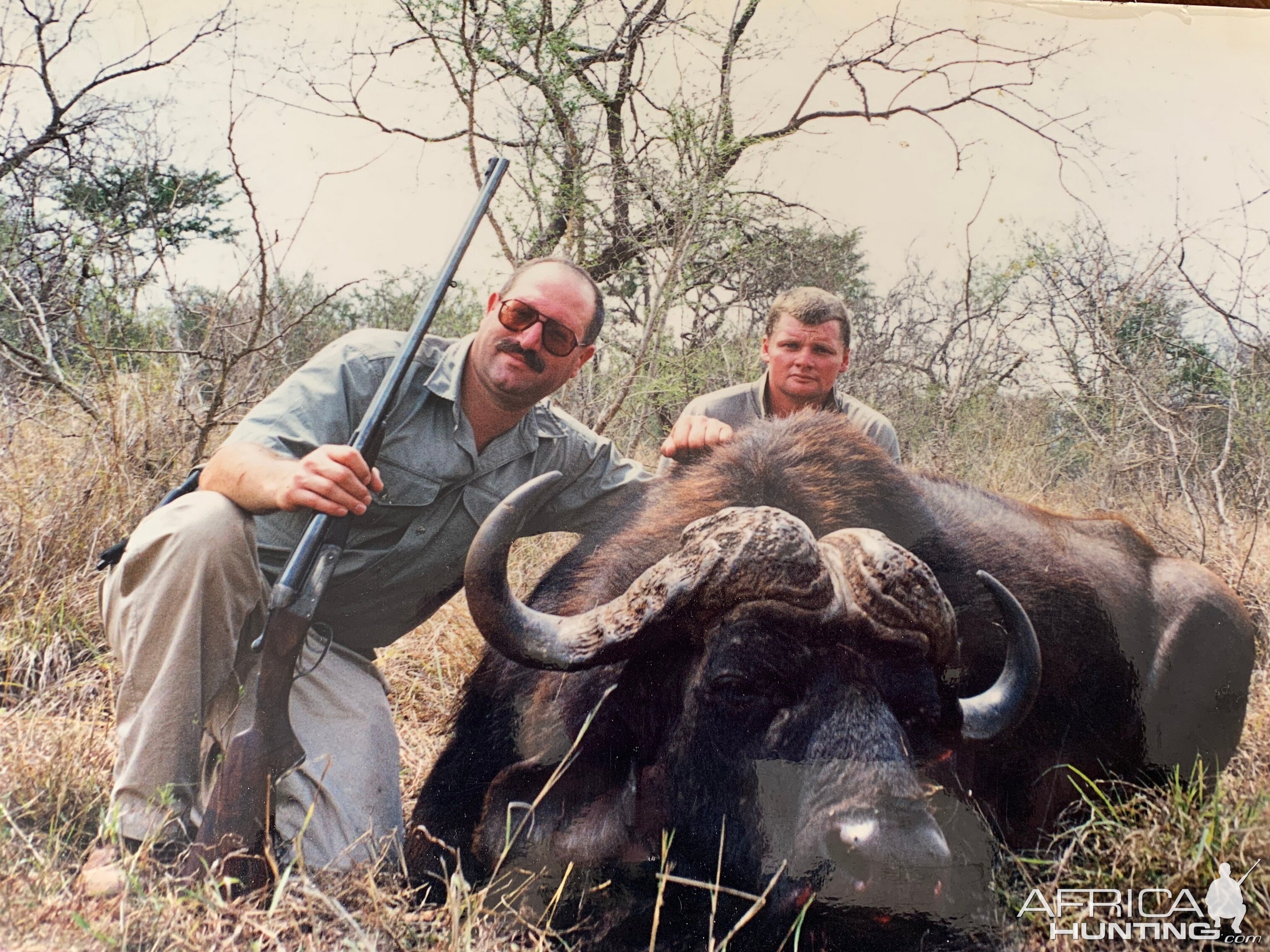 Hunt Cape Buffalo in South Africa