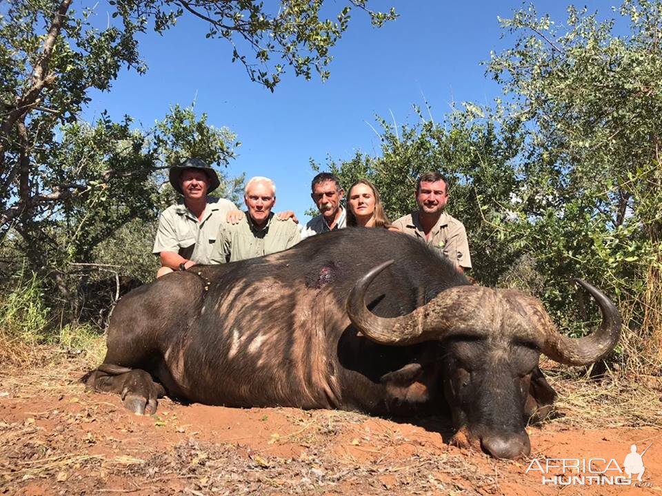 Hunt Cape Buffalo in South Africa