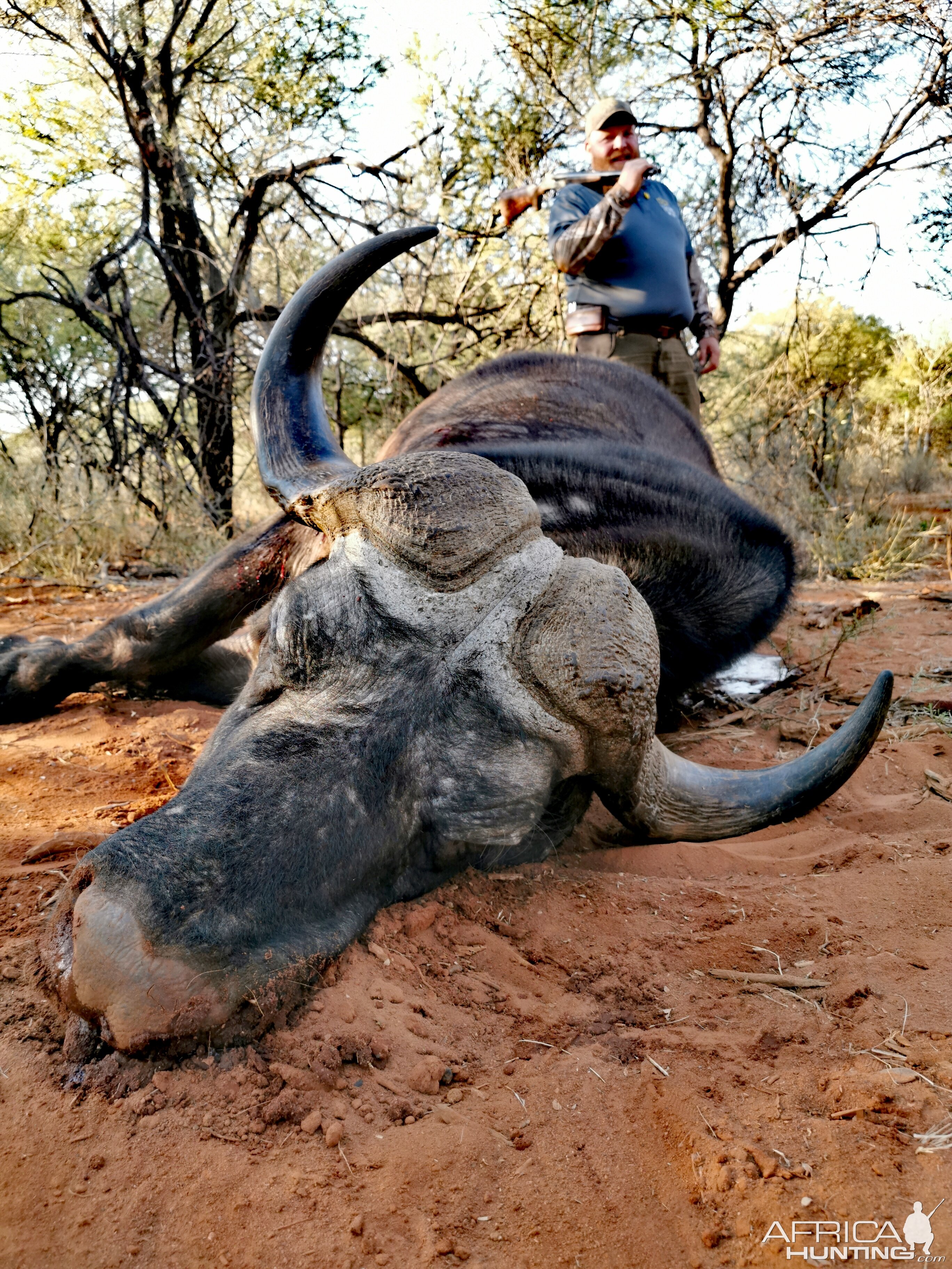 Hunt Cape Buffalo in South Africa