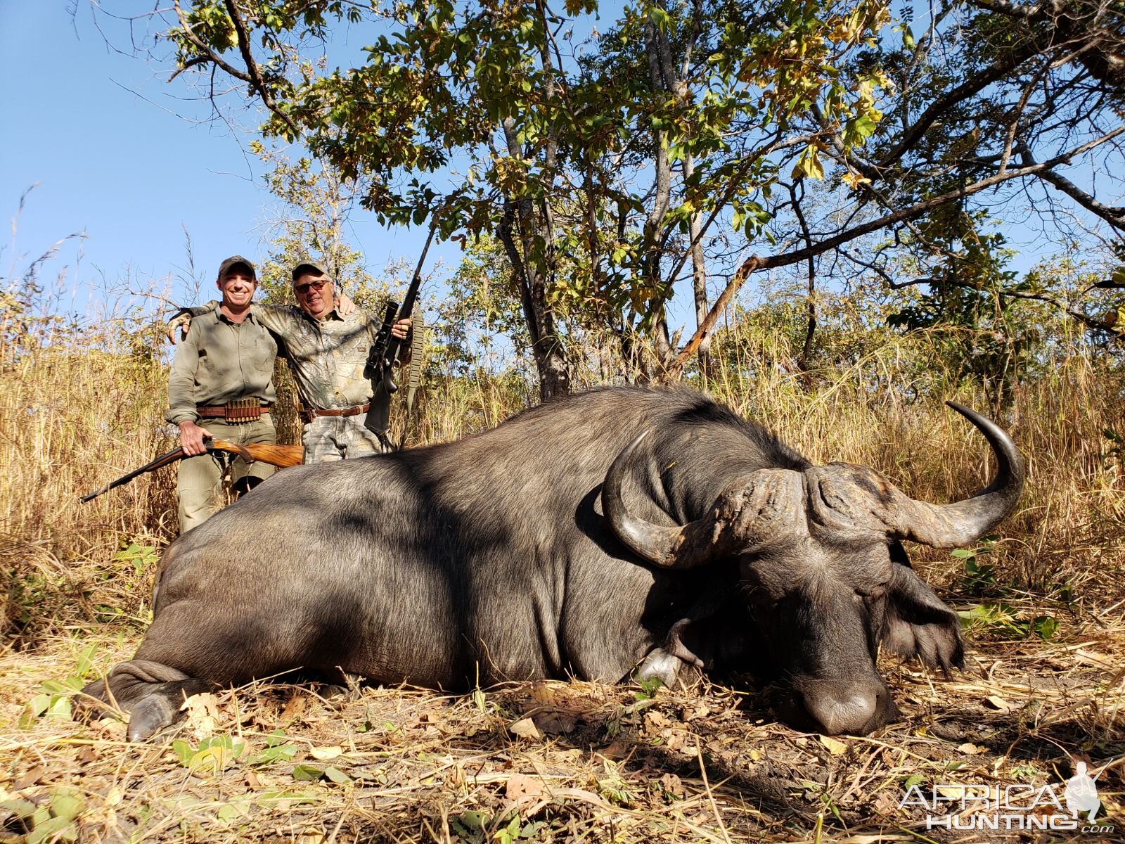 Hunt Cape Buffalo in Tanzania