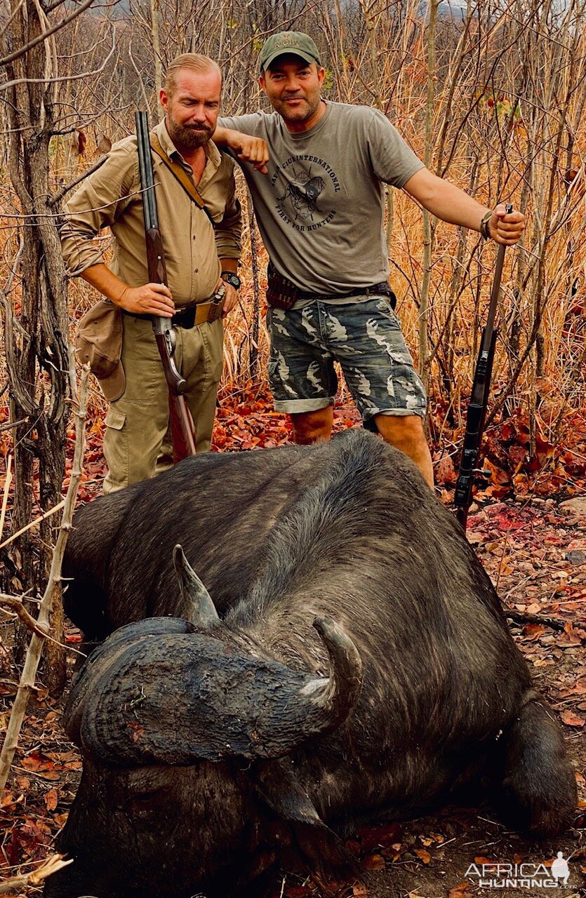 Hunt Cape Buffalo in Zambia