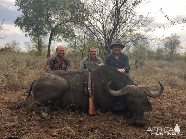 Hunt Cape Buffalo in Zimbabwe