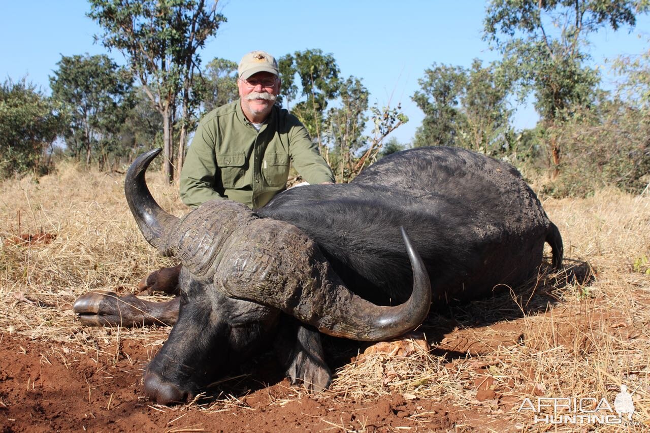 Hunt Cape Buffalo in Zimbabwe