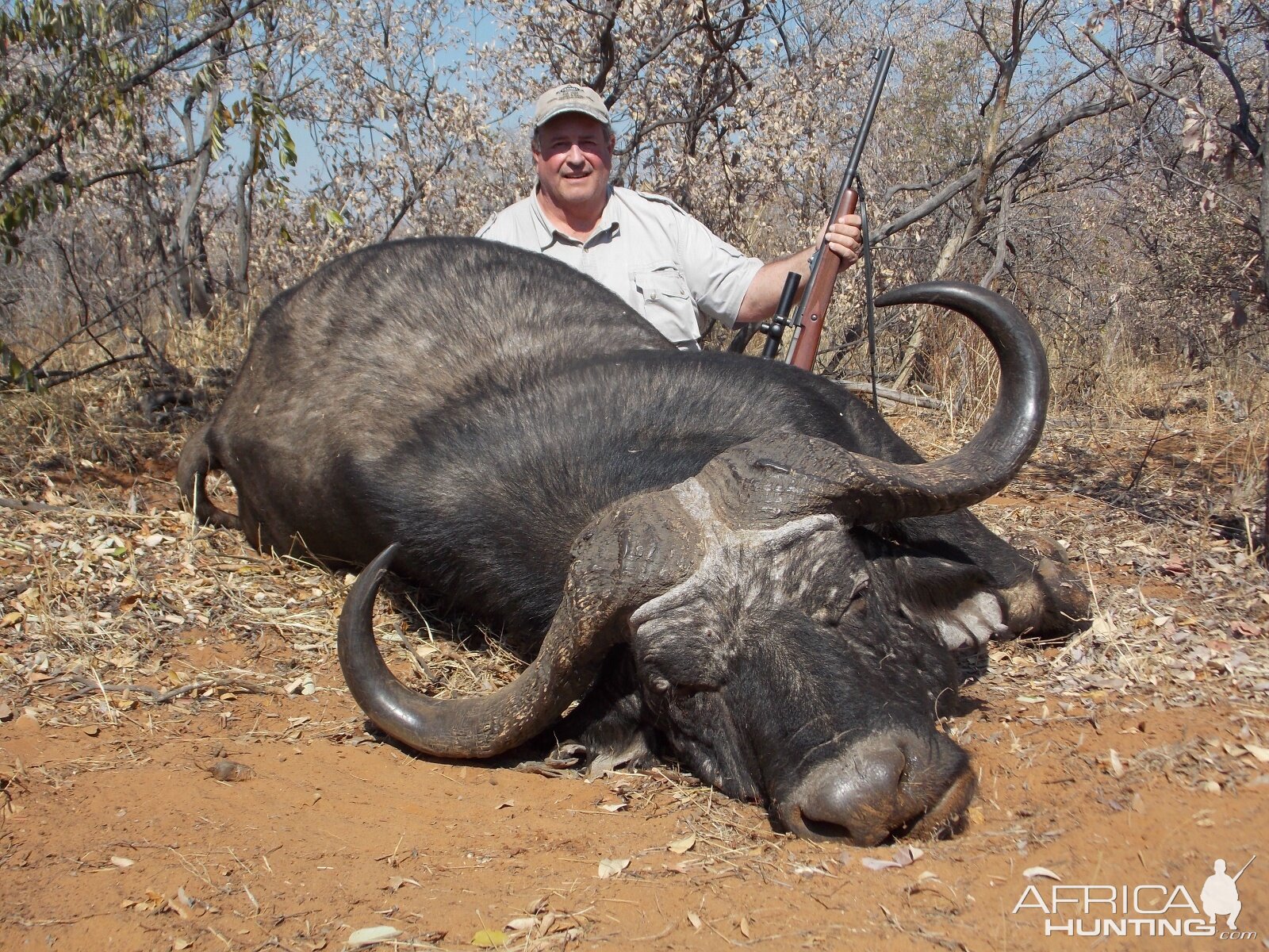 Hunt Cape Buffalo South Africa