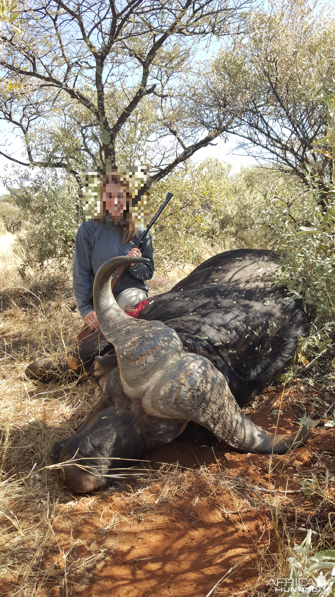 Hunt Cape Buffalo South Africa