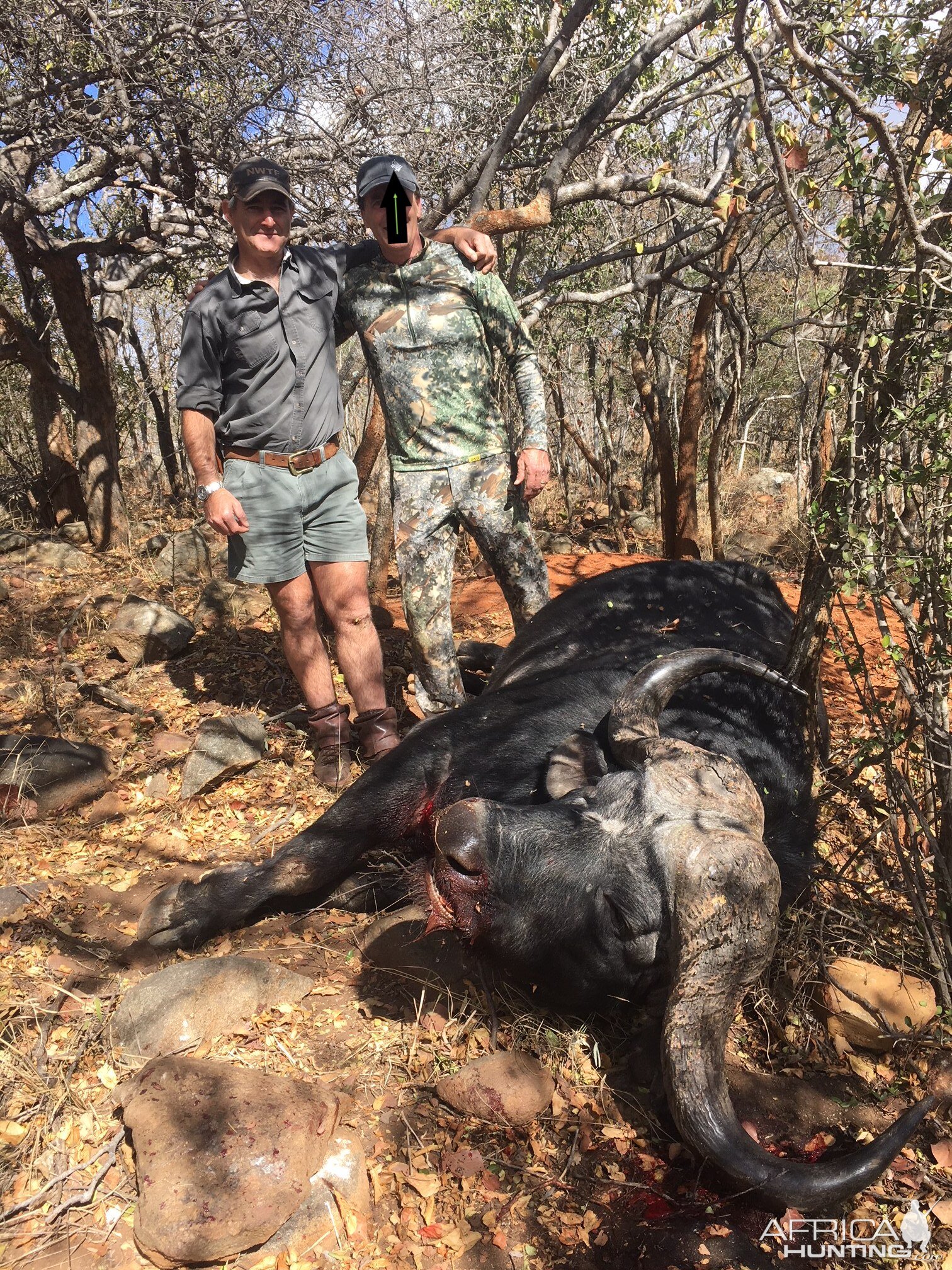 Hunt Cape Buffalo South Africa