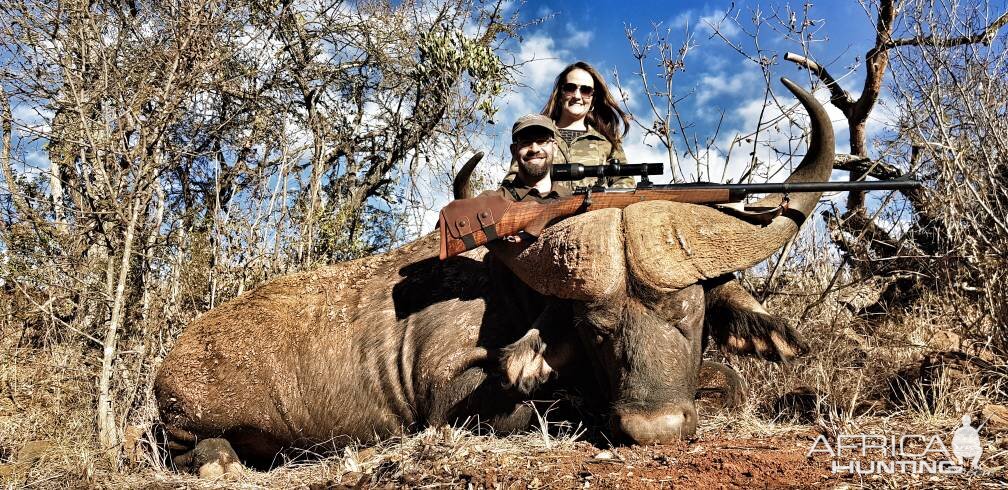 Hunt Cape Buffalo South Africa