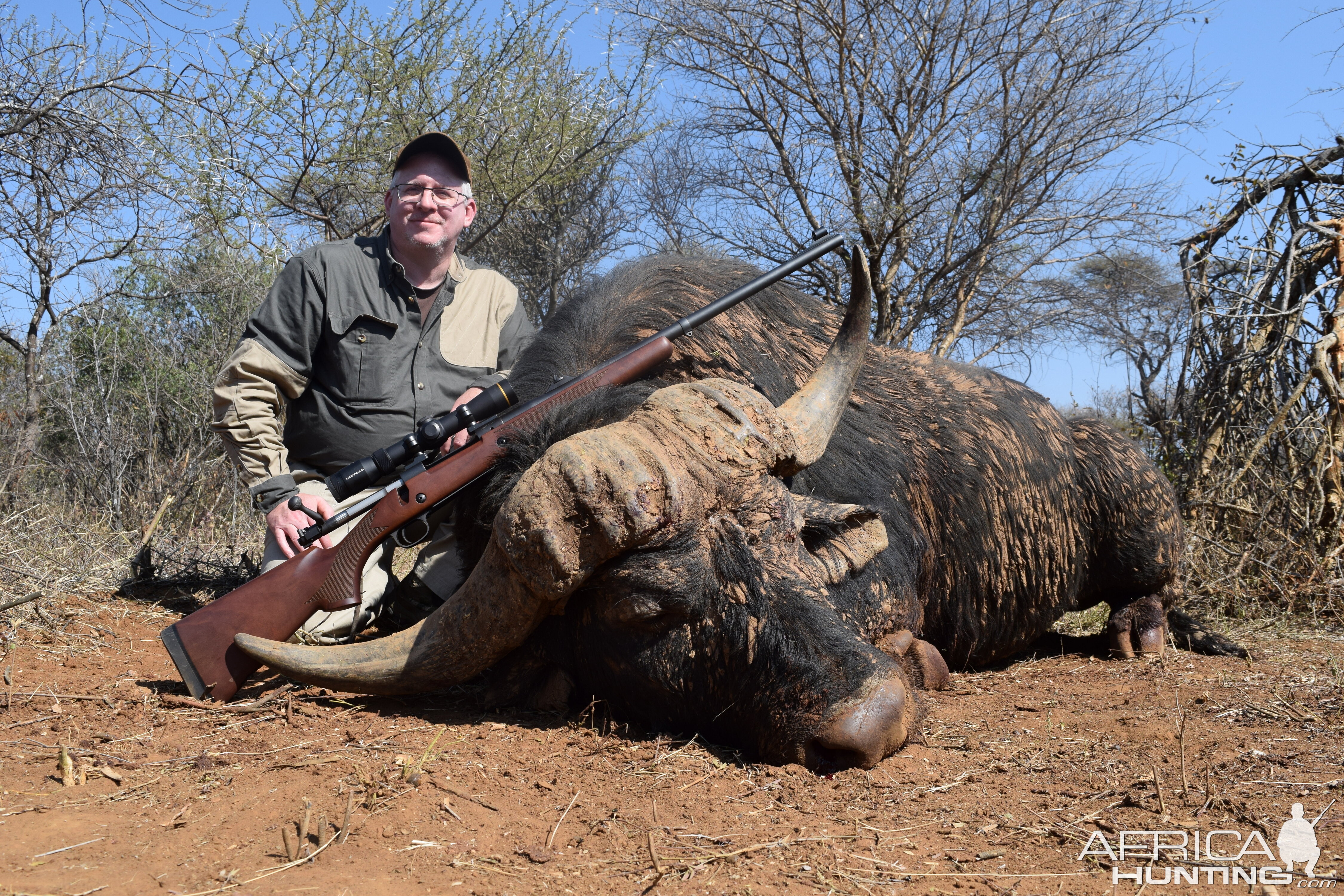 Hunt Cape Buffalo South Africa