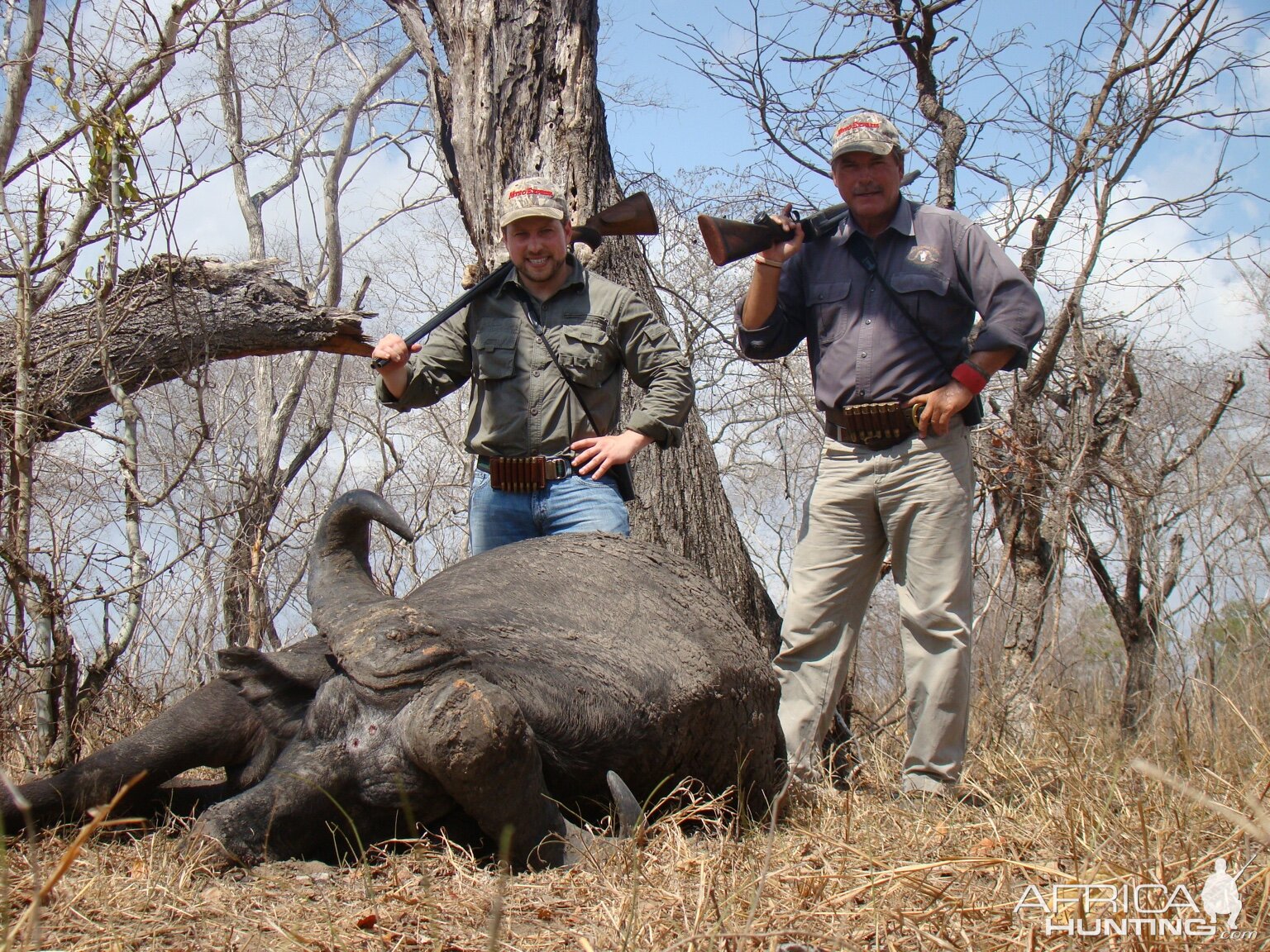 Hunt Cape Buffalo