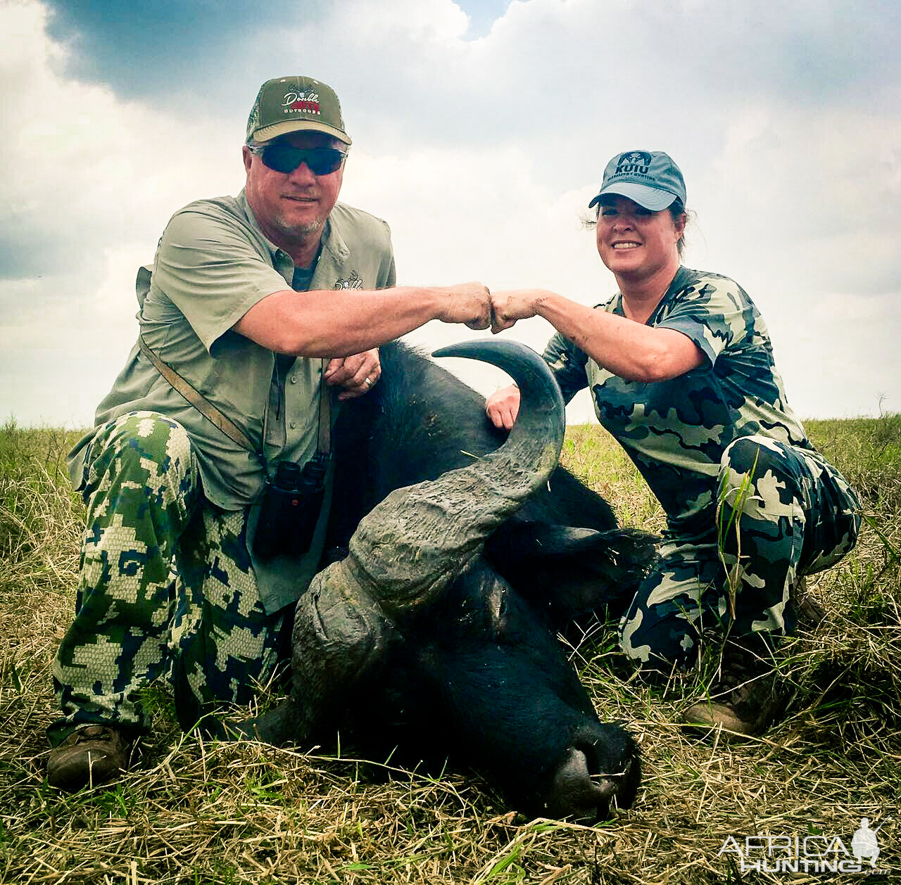 Hunt Cape Buffalo