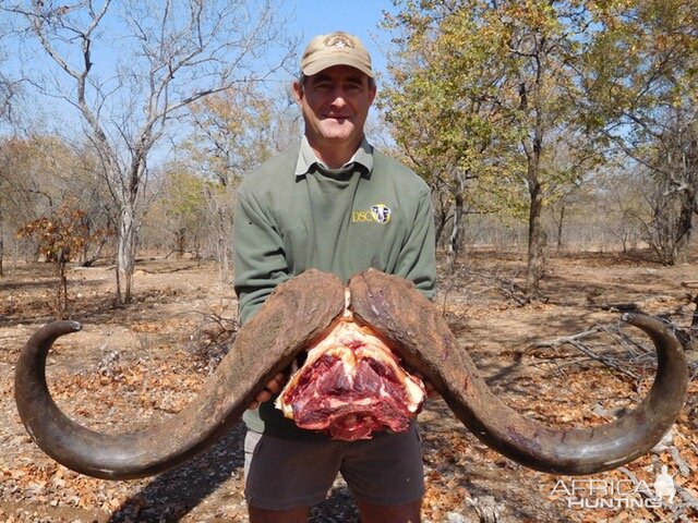 Hunt Cape Buffalo