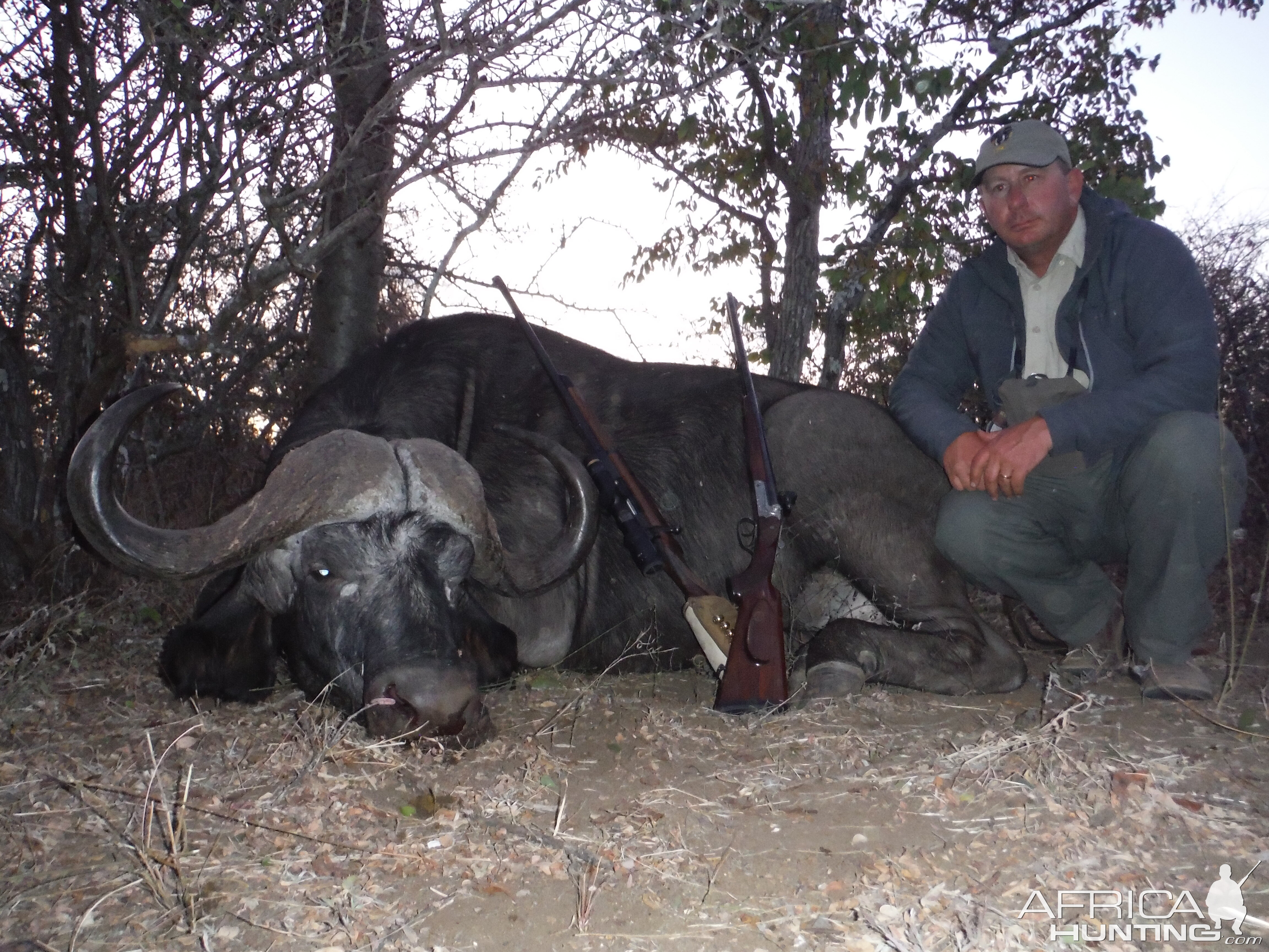 Hunt Cape Buffalo