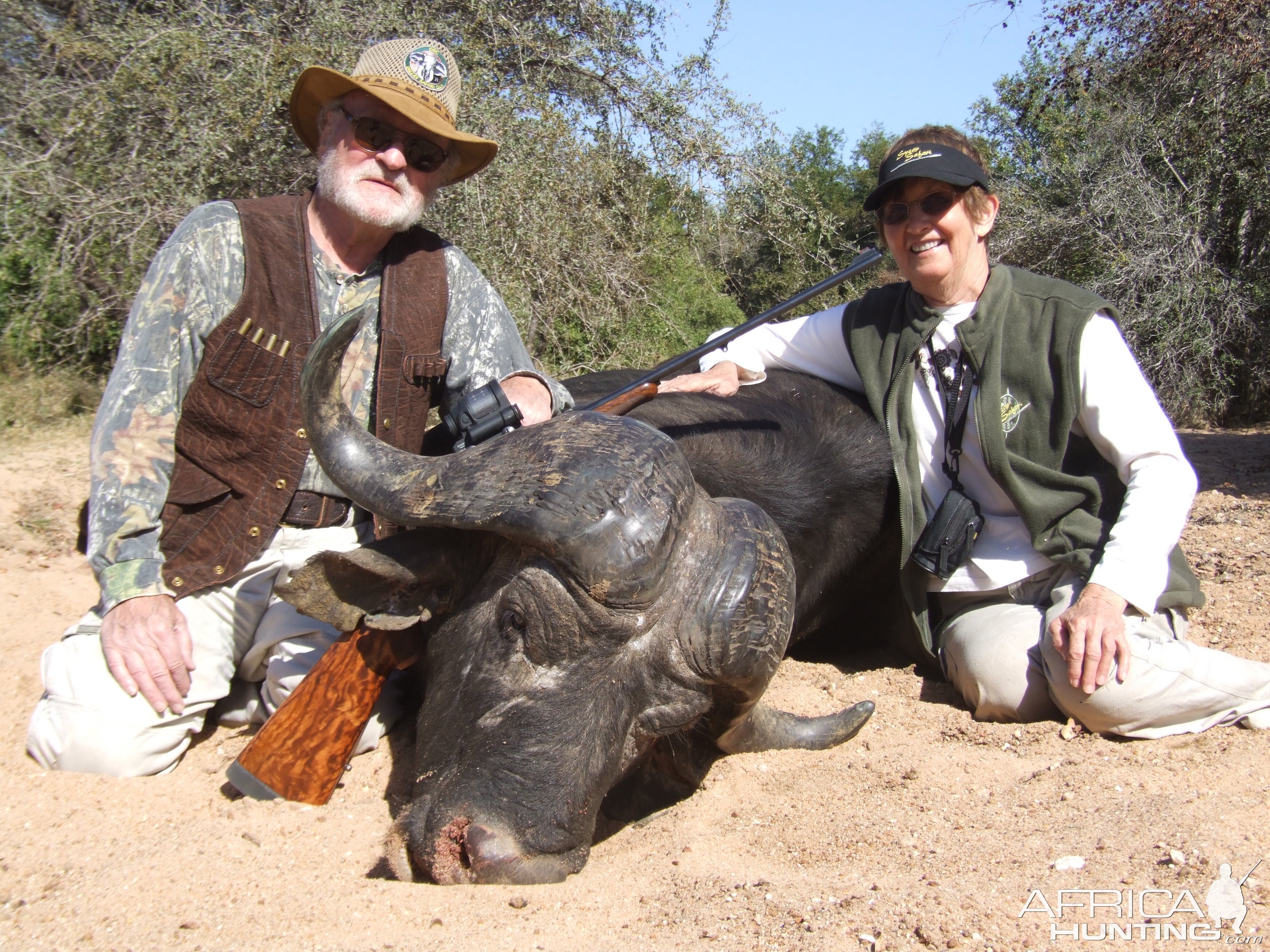 Hunt Cape Buffalo