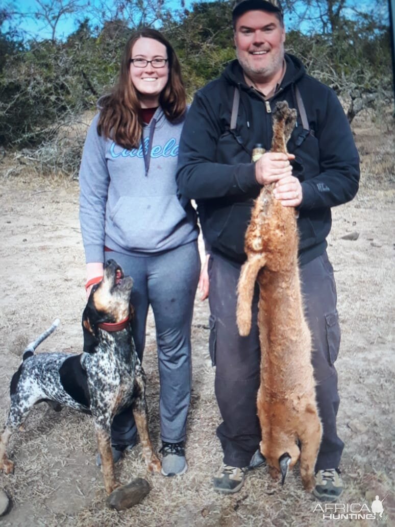 Hunt Caracal in South Africa