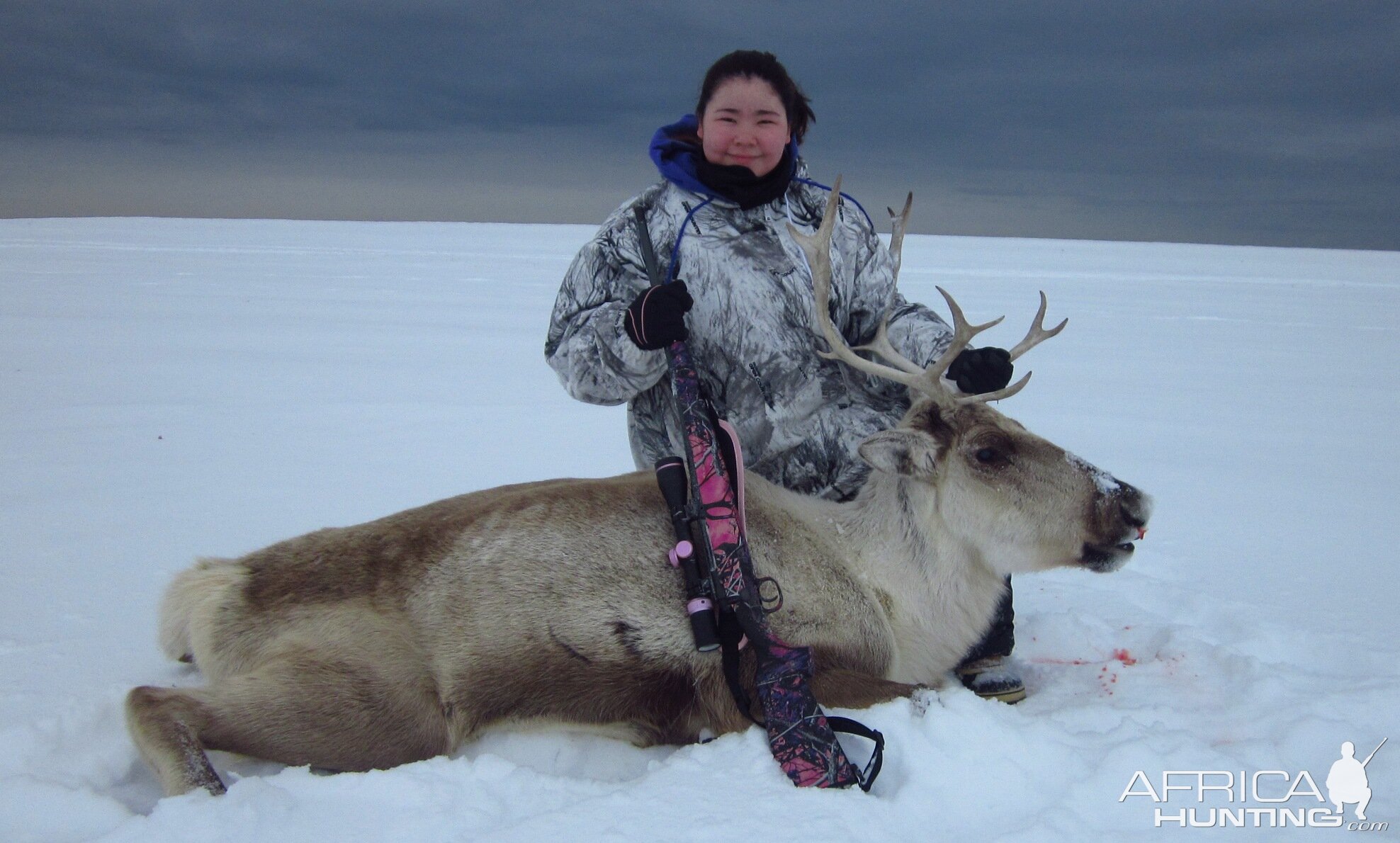 Hunt Caribou in Alaska USA