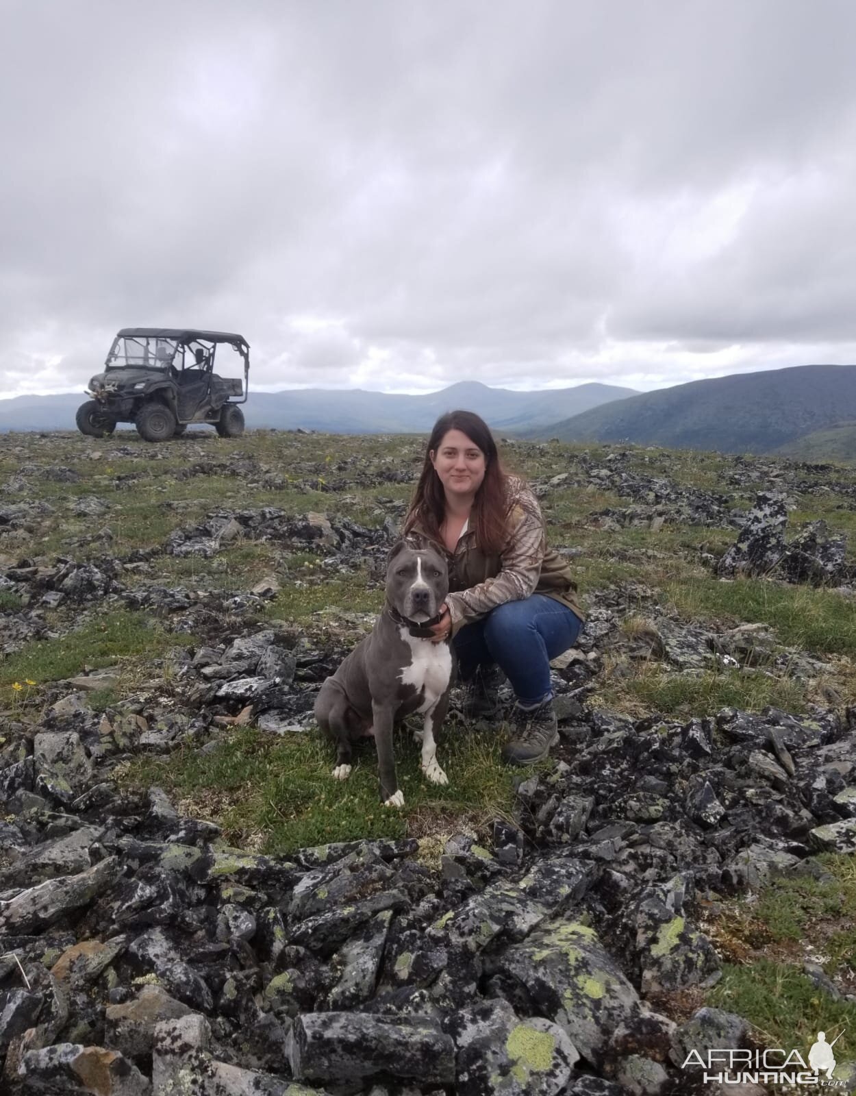 Hunt Caribou in USA