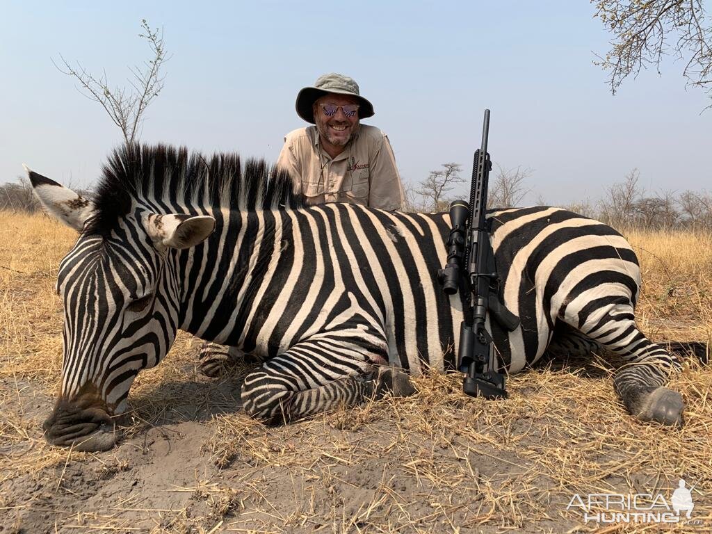 Hunt Chapman's Zebra in Caprivi Namibia