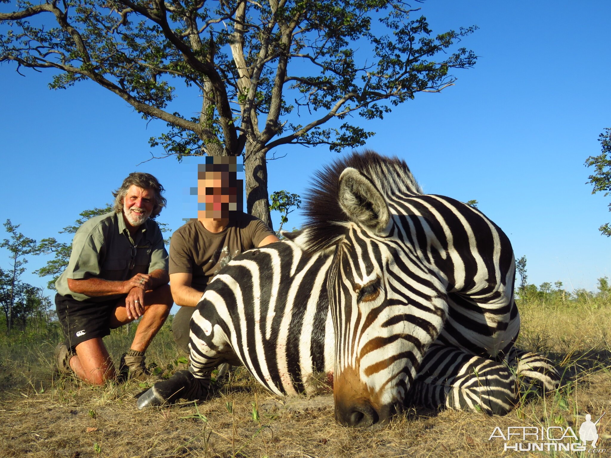 Hunt Chapman's Zebra in Namibia