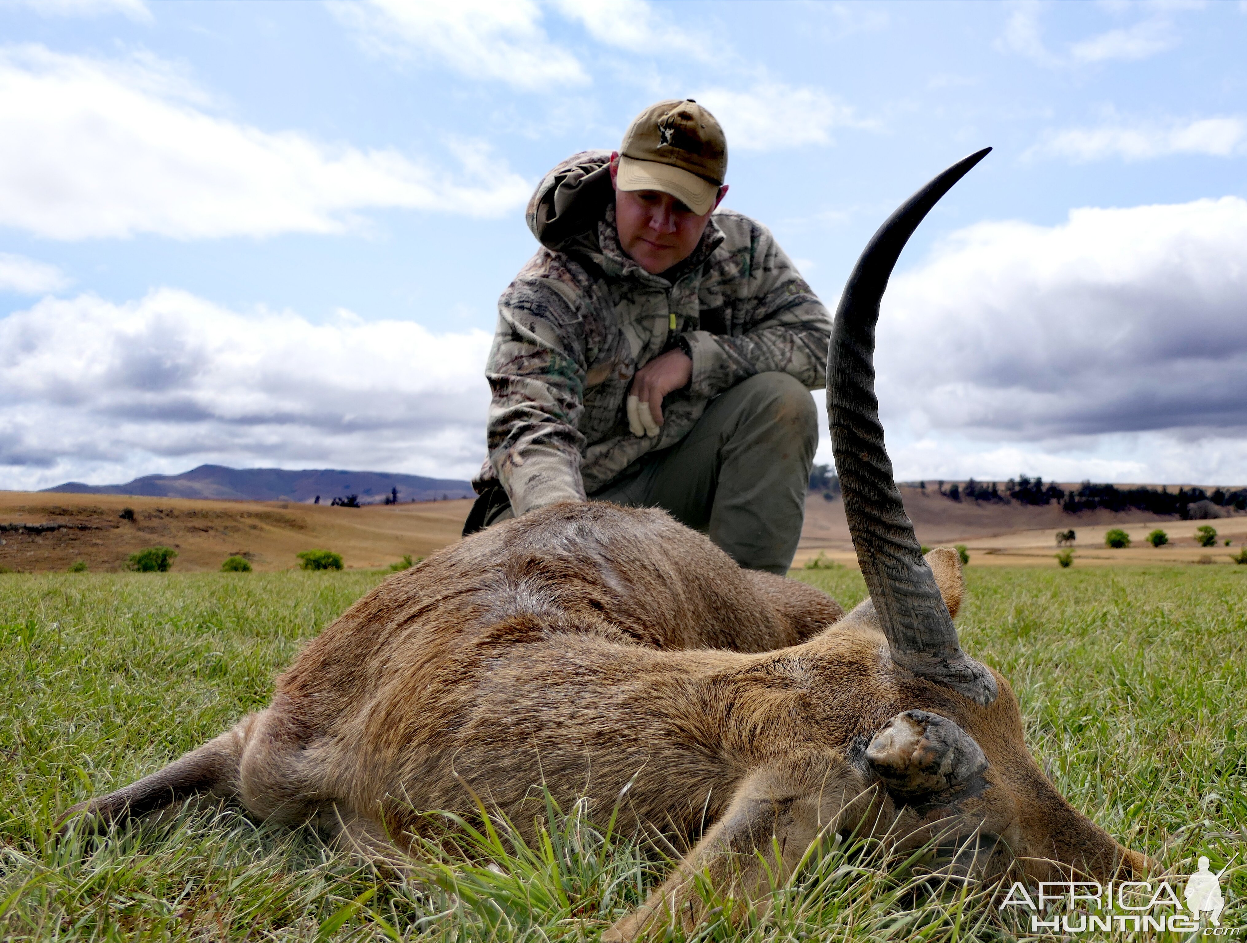 Hunt Common Reedbuck in South Africa